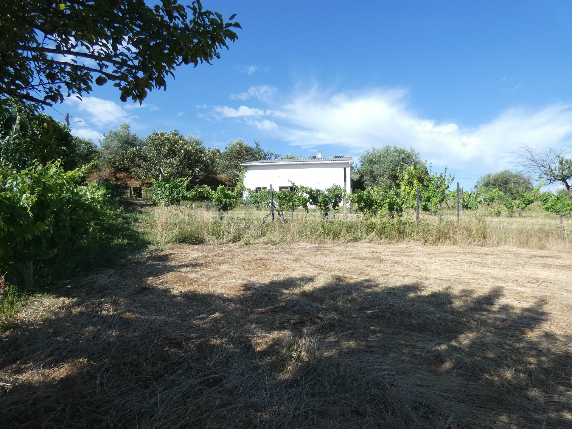 Terreno per Costruzione Monolocale