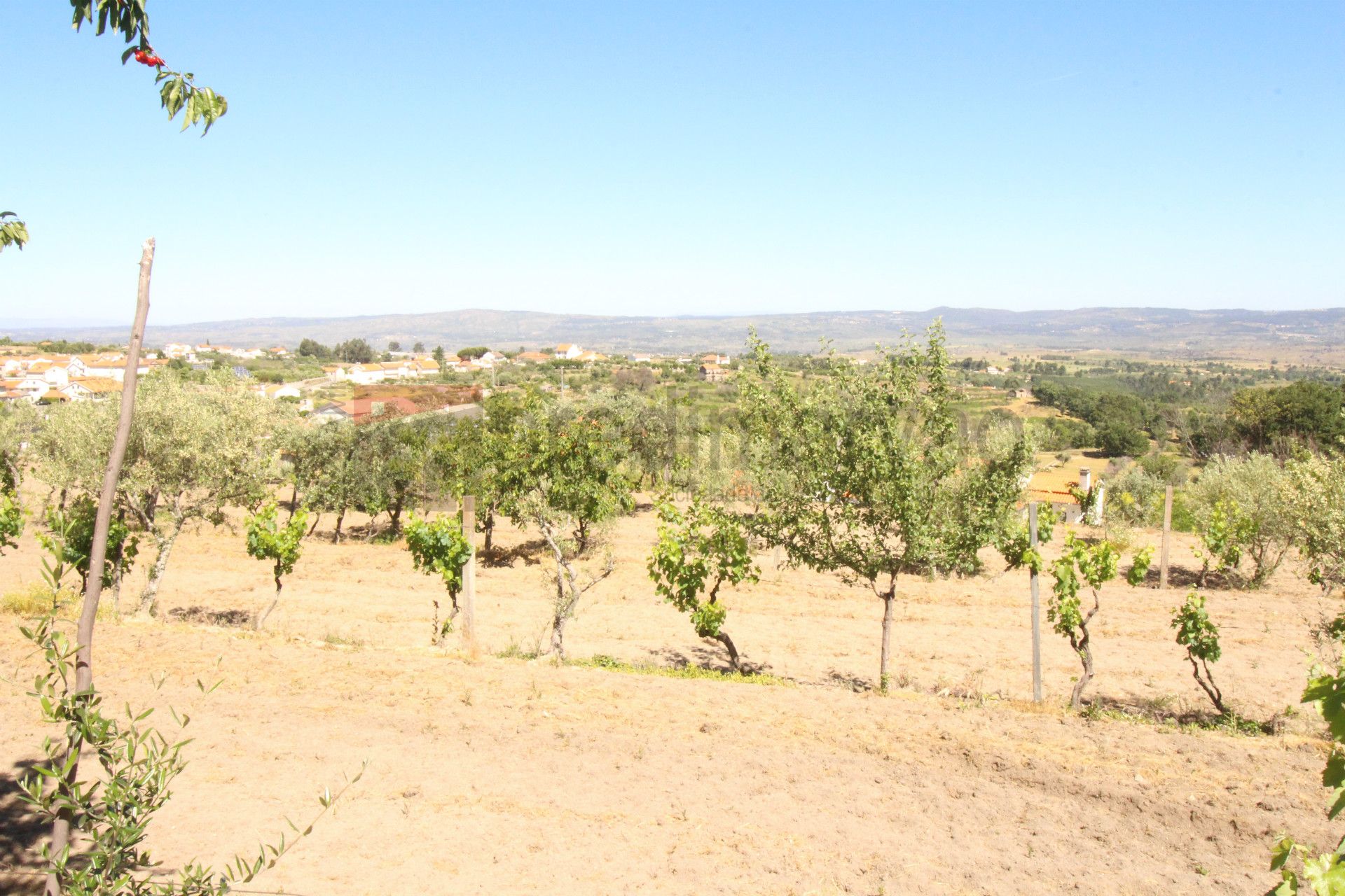 Quintinha T2+1 DUPLEX