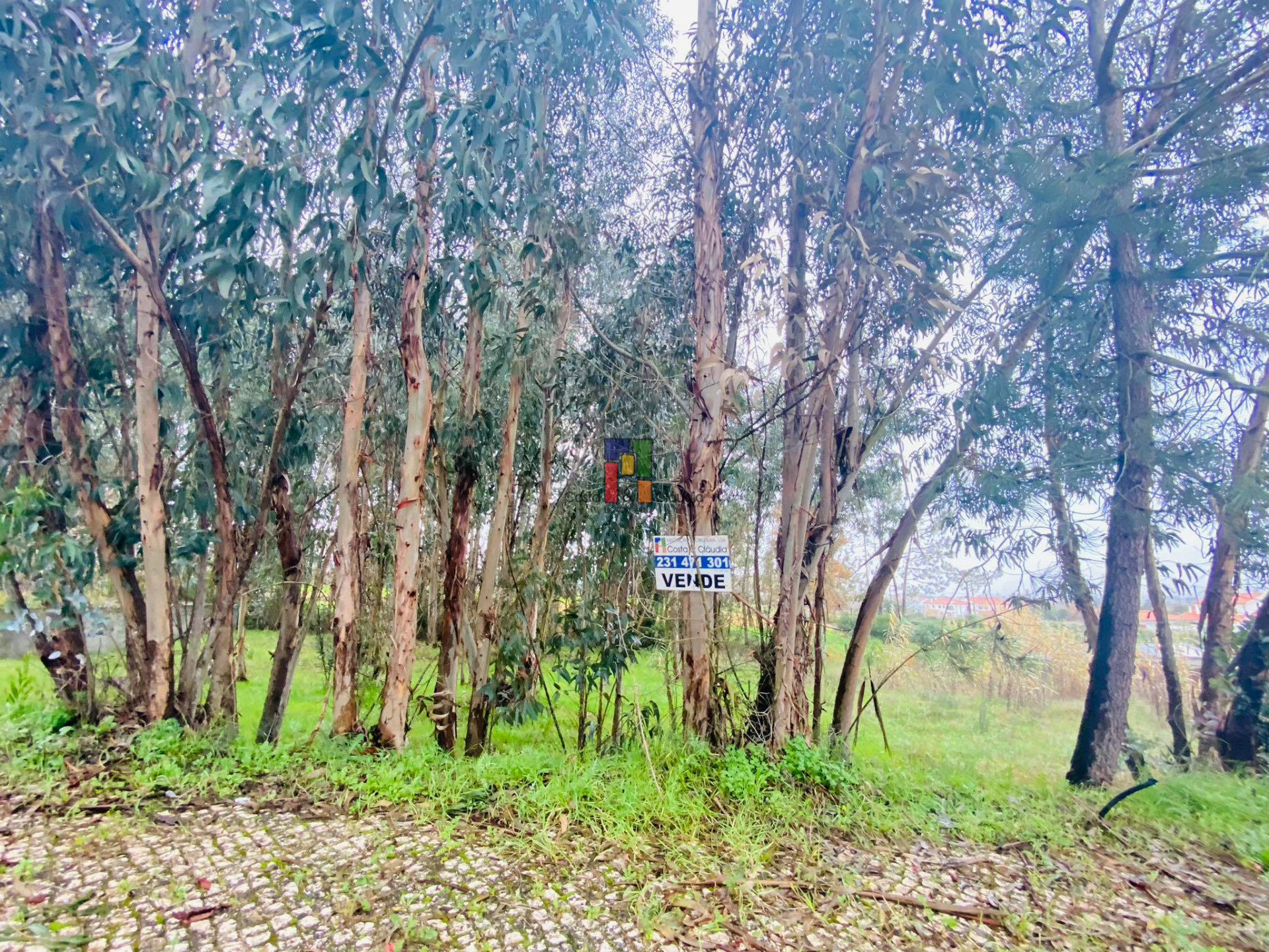 Real Estate building T3