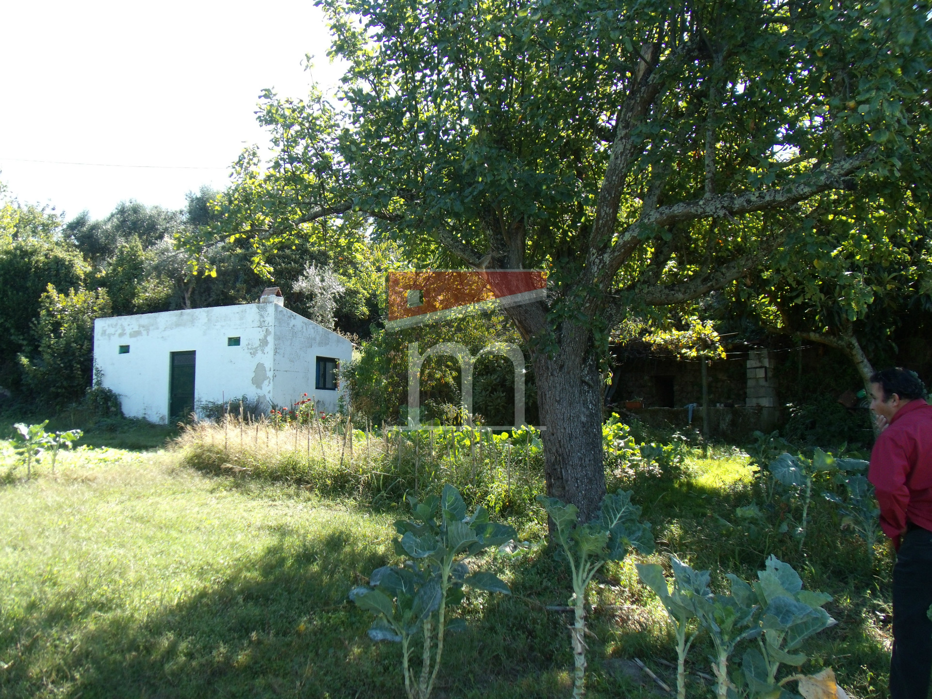 Terreno Para Construção
