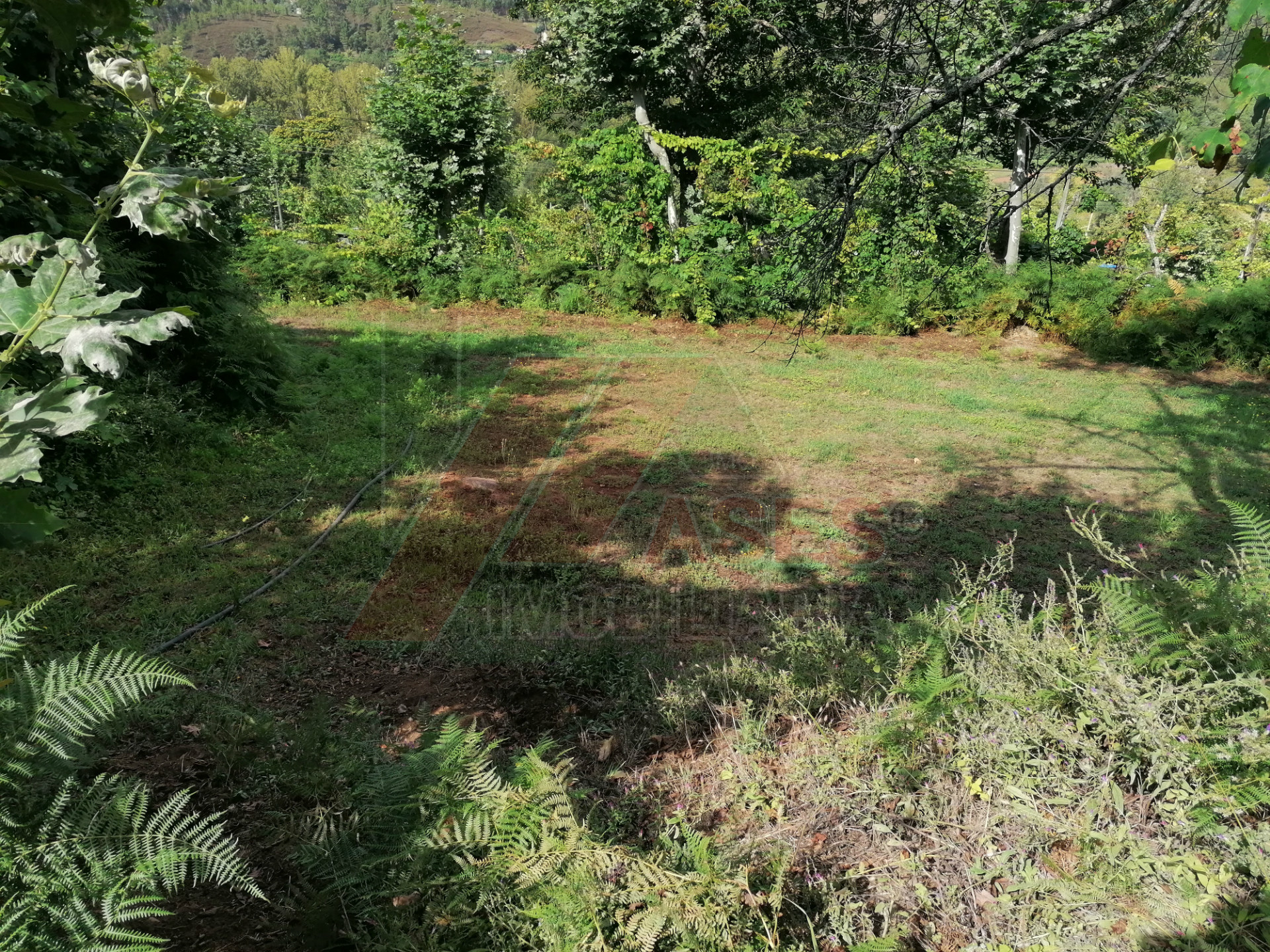 Terreno Para Construcción