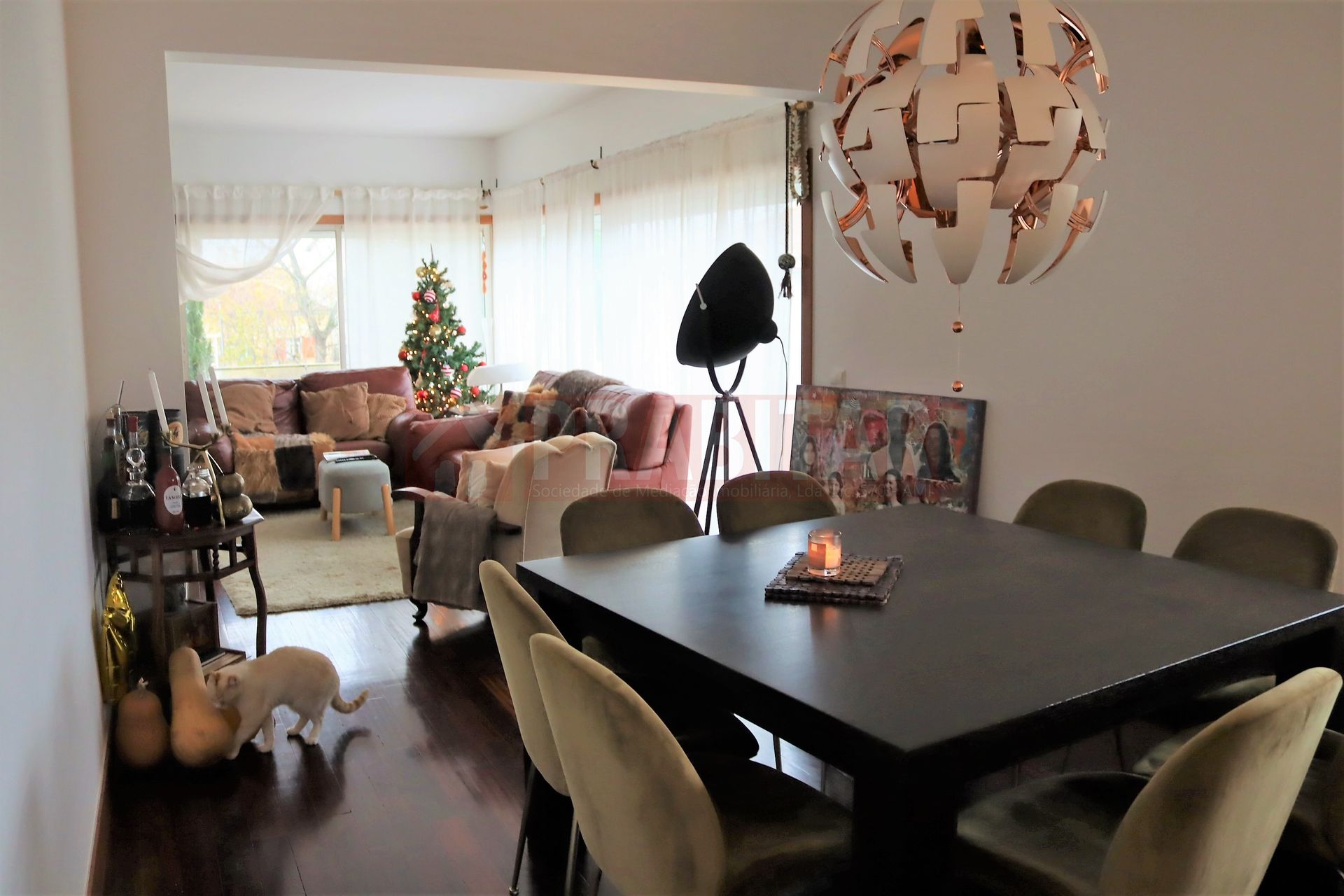 Appartement 4 Chambre(s)