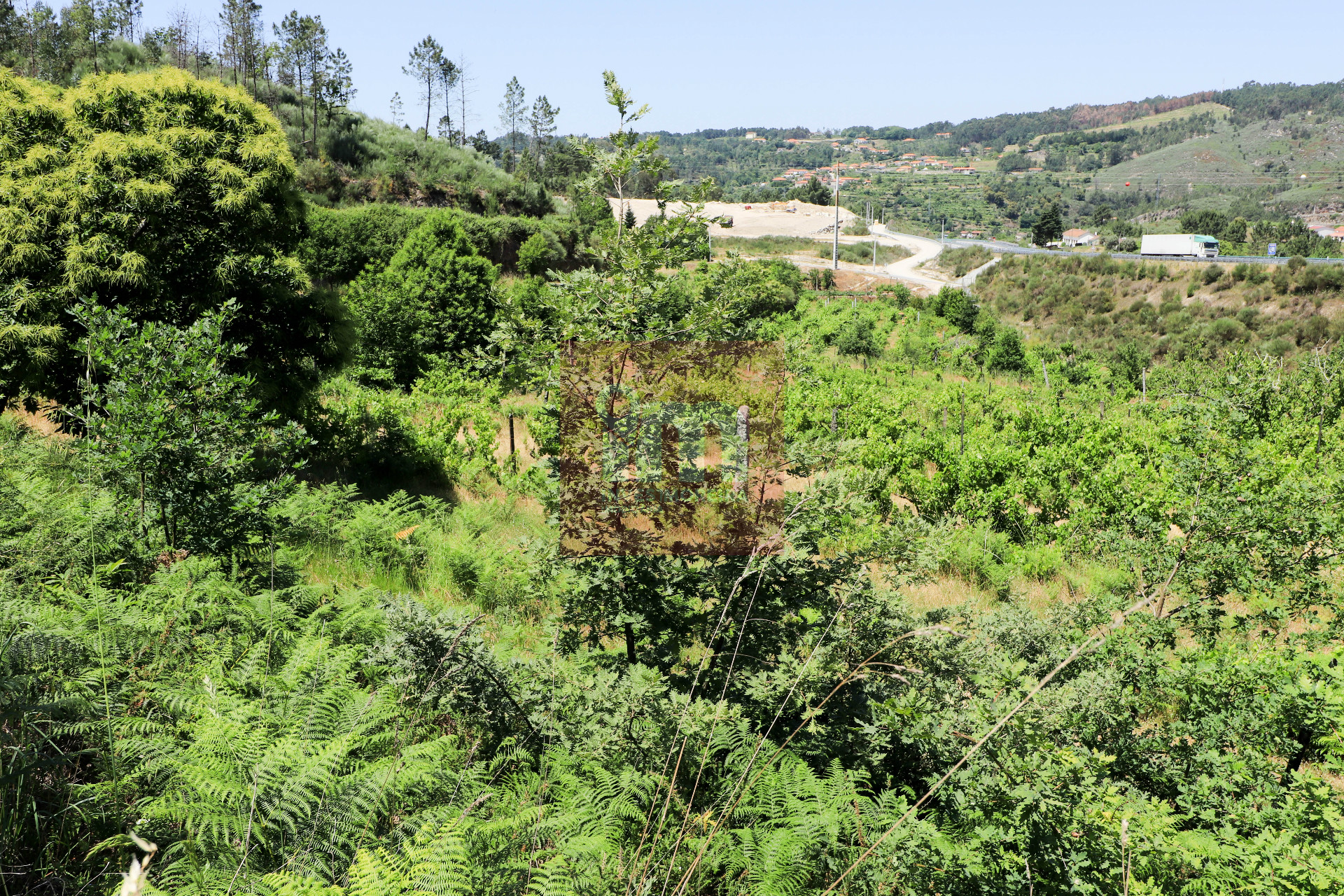 Herdade