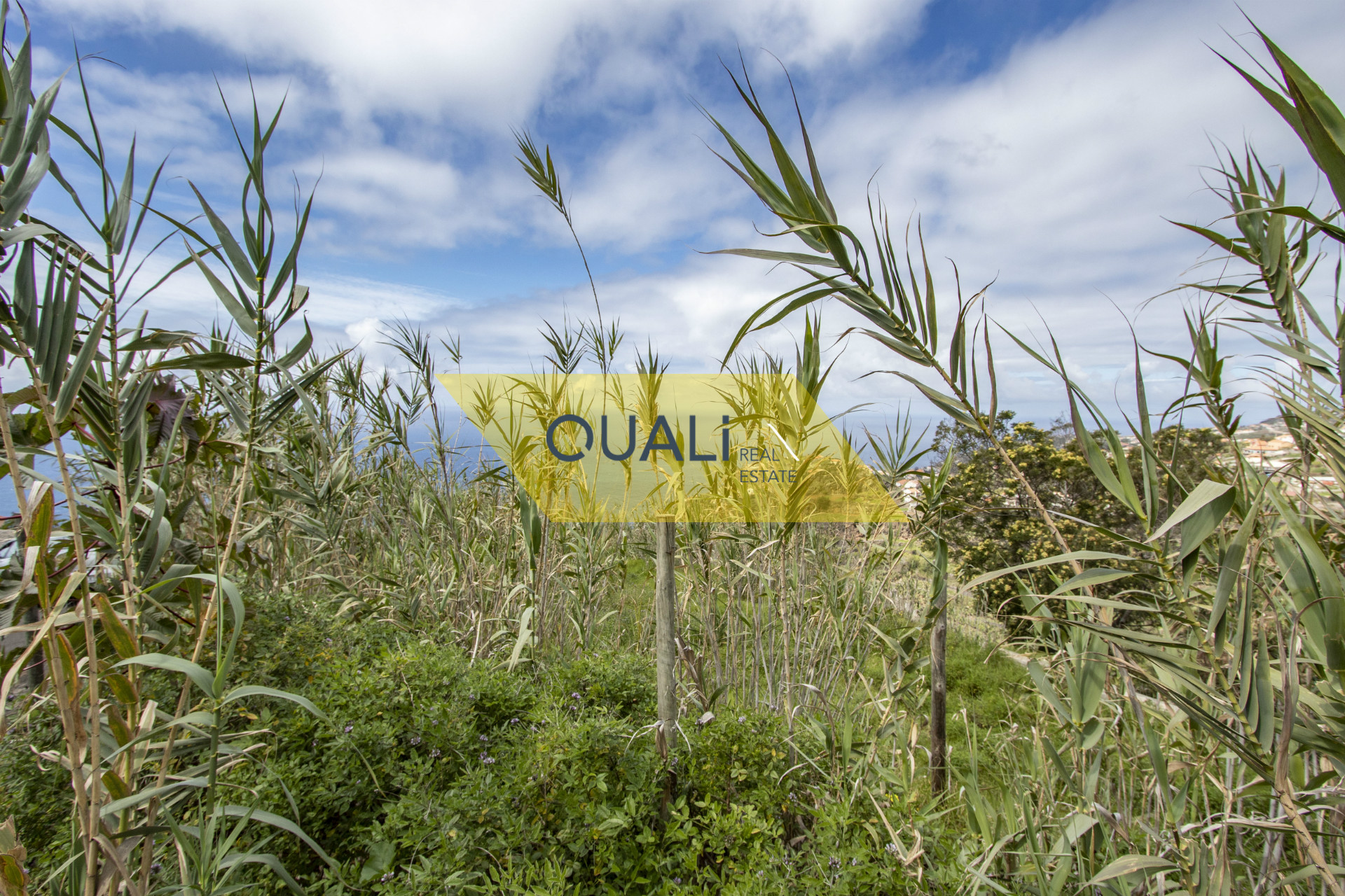 Terrain avec 465 m2 à Tabua - Madère. €50.000,00
