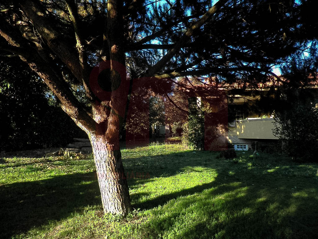 Casa Indipendente 4 Vani +2