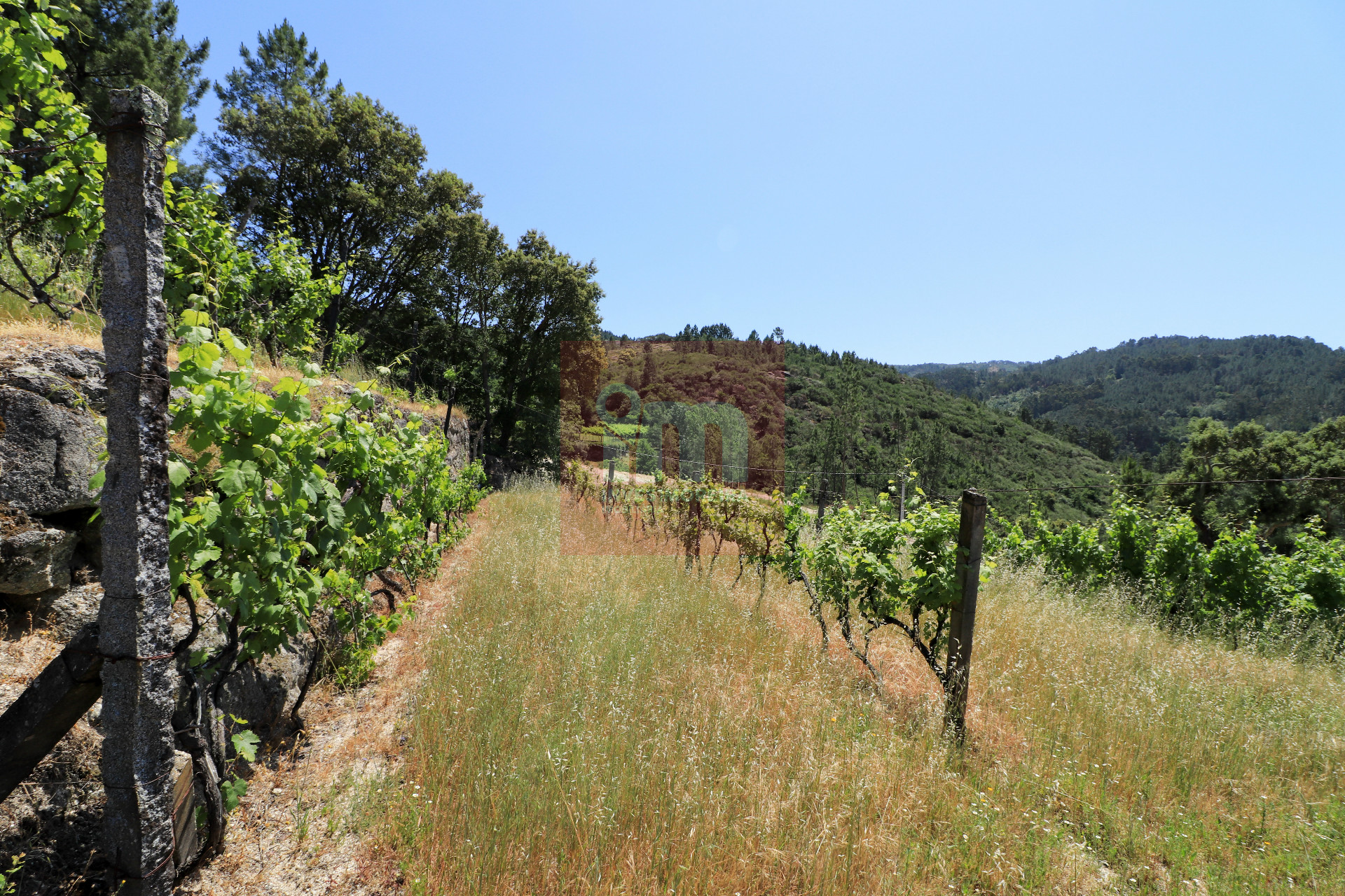 Herdade