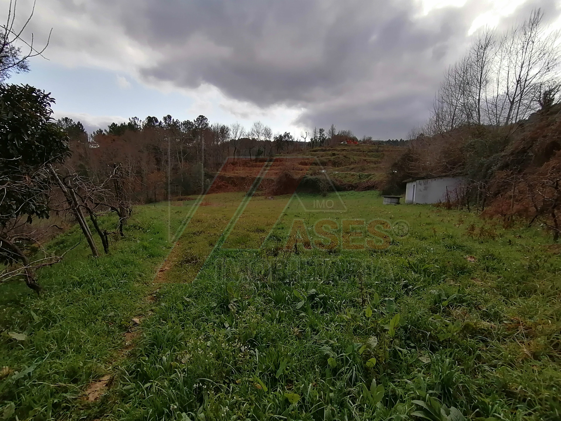 herencia 4 habitaciones