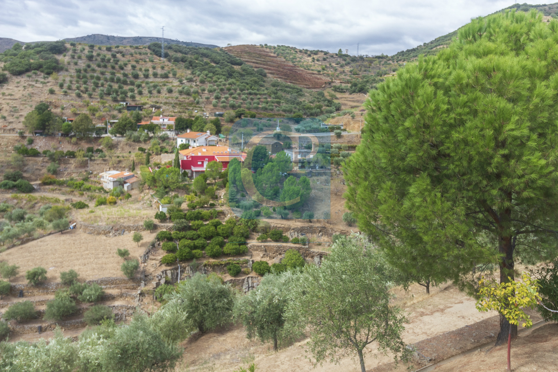 Quinta no Alto Douro Vinhateiro