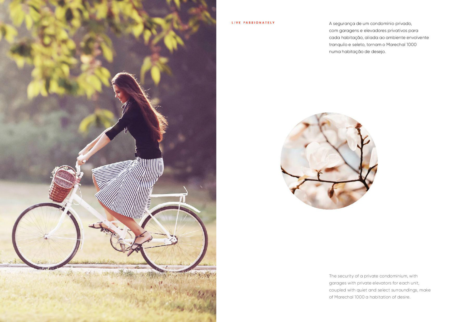 Étage 3 Chambre(s)+1