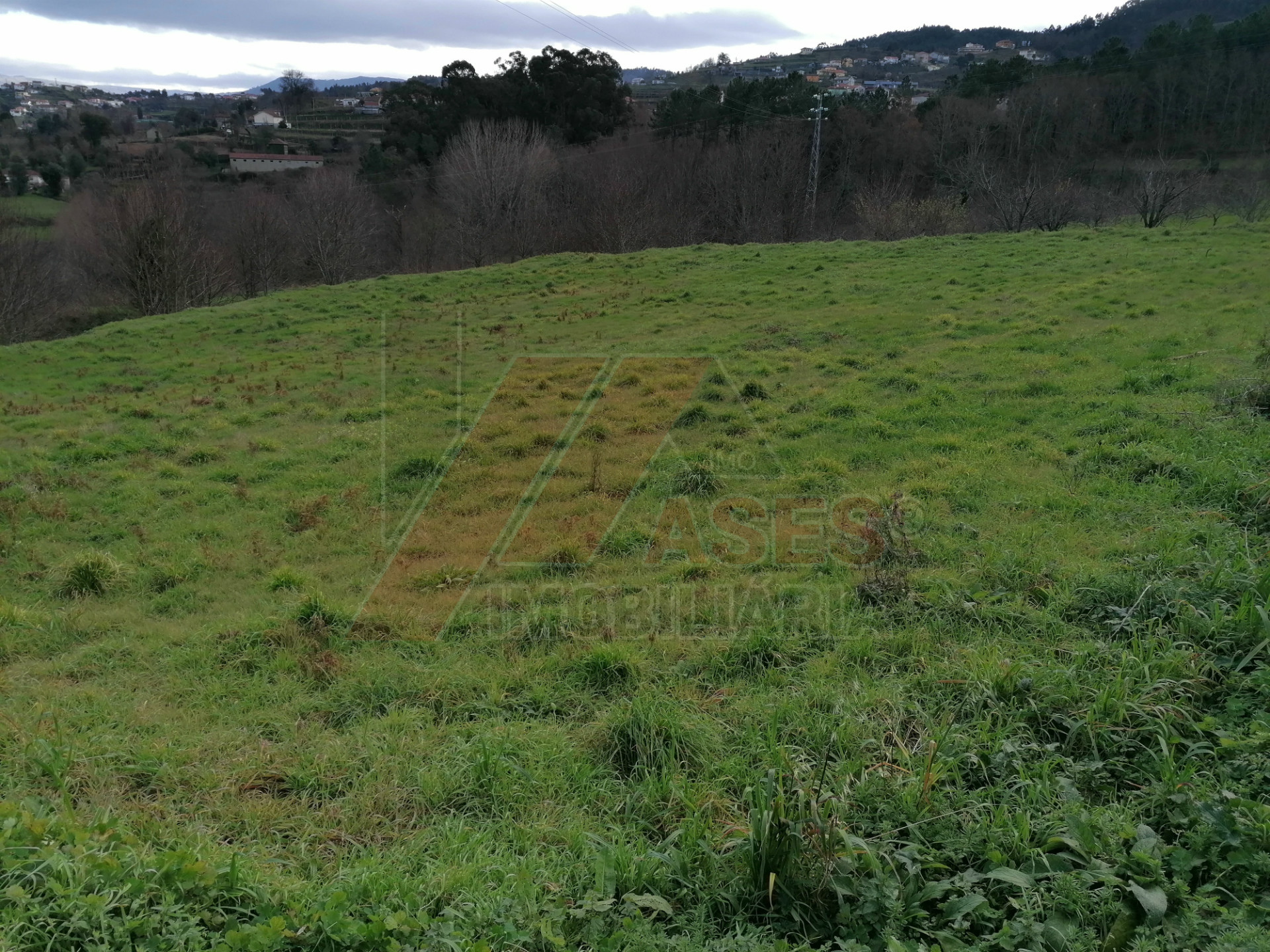 herencia 4 habitaciones