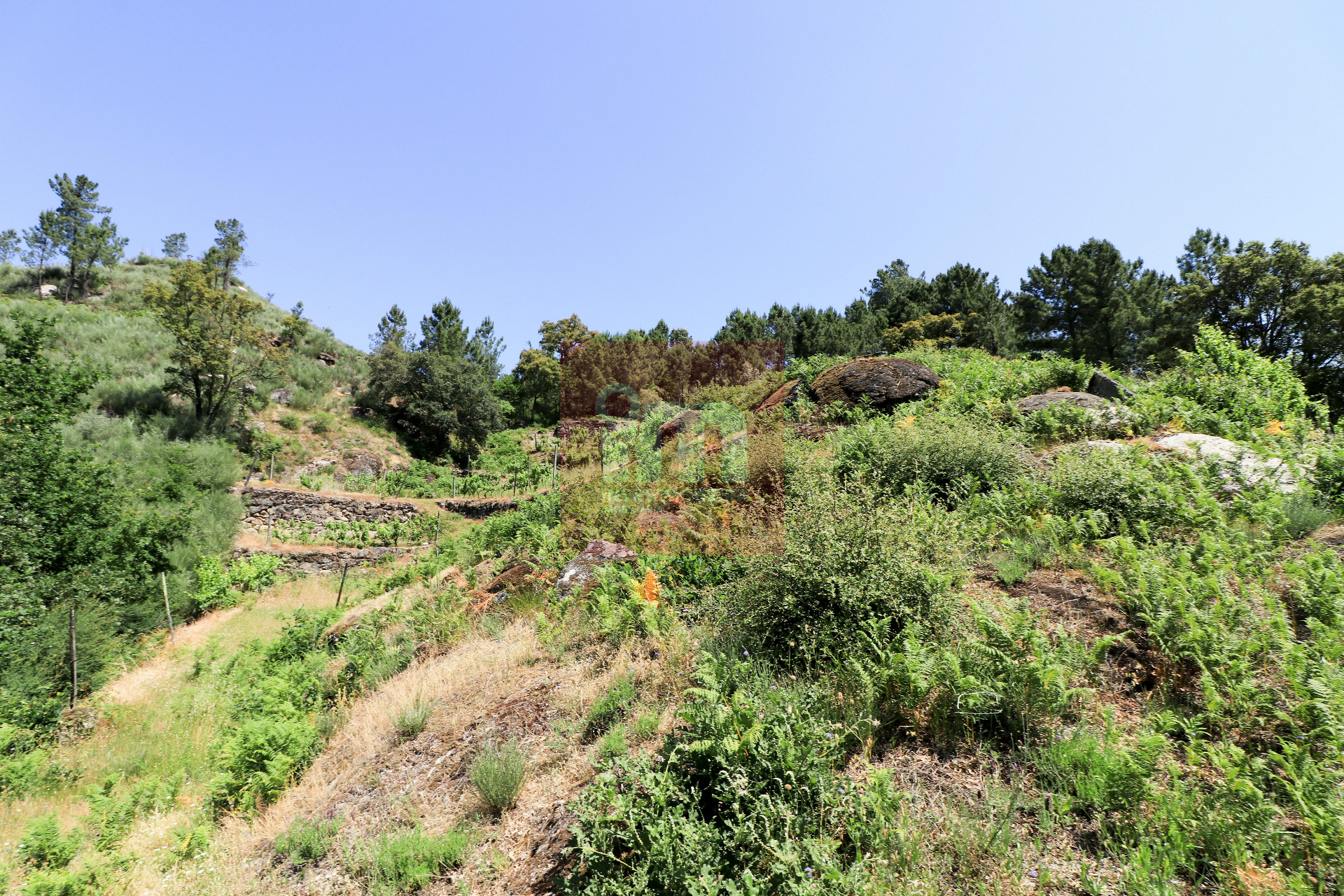 Herdade