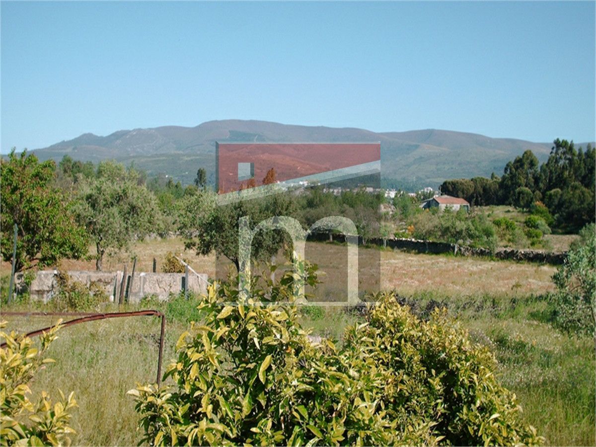 Pequeña finca