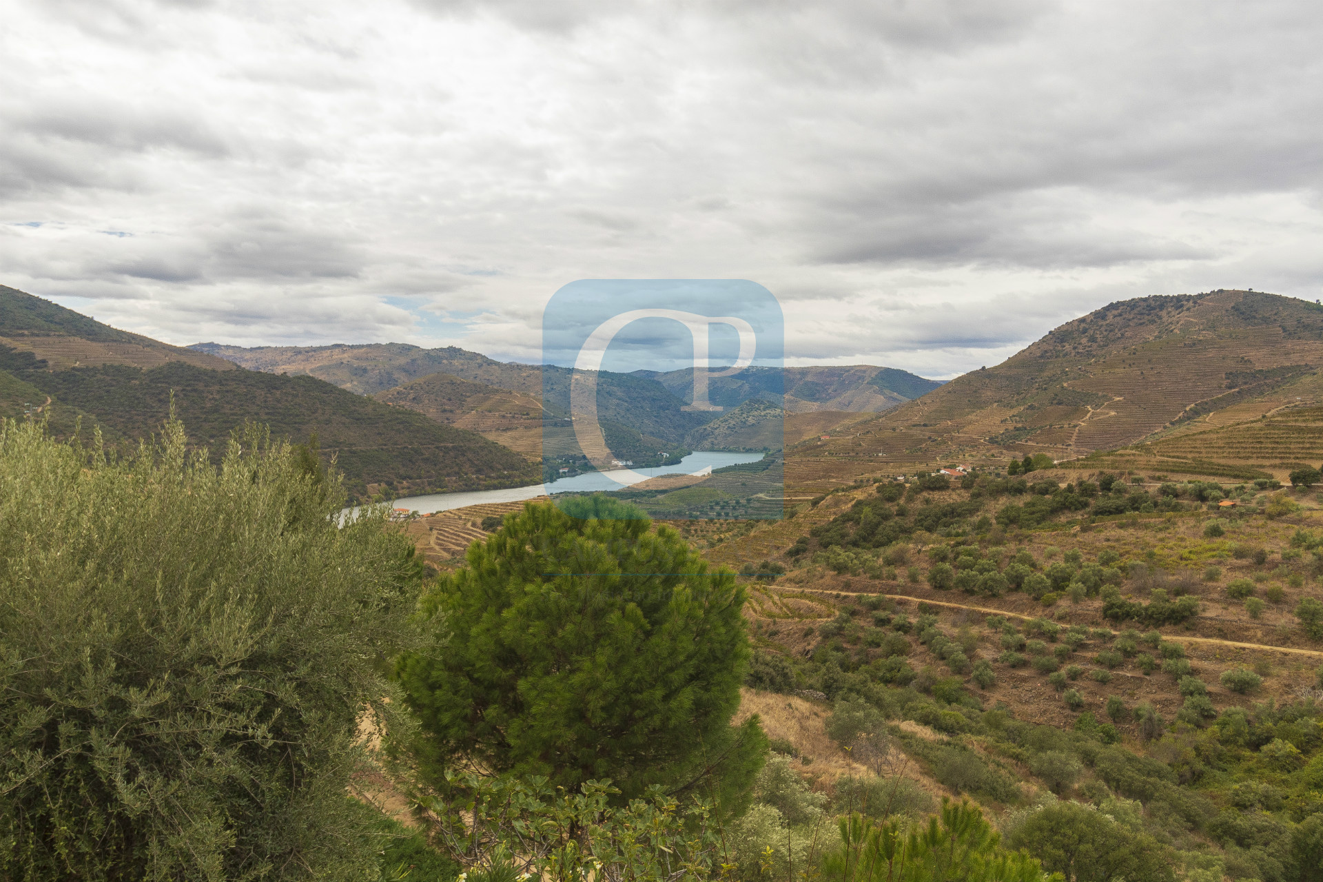 Quinta no Alto Douro Vinhateiro