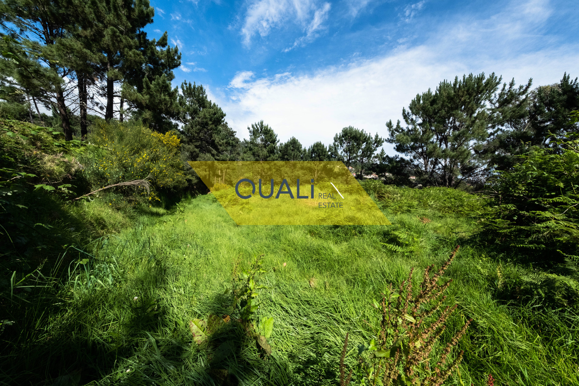 Terreno com 782m2,viabilidade de Construção na Fajã da Ovelha - € 31.500,00