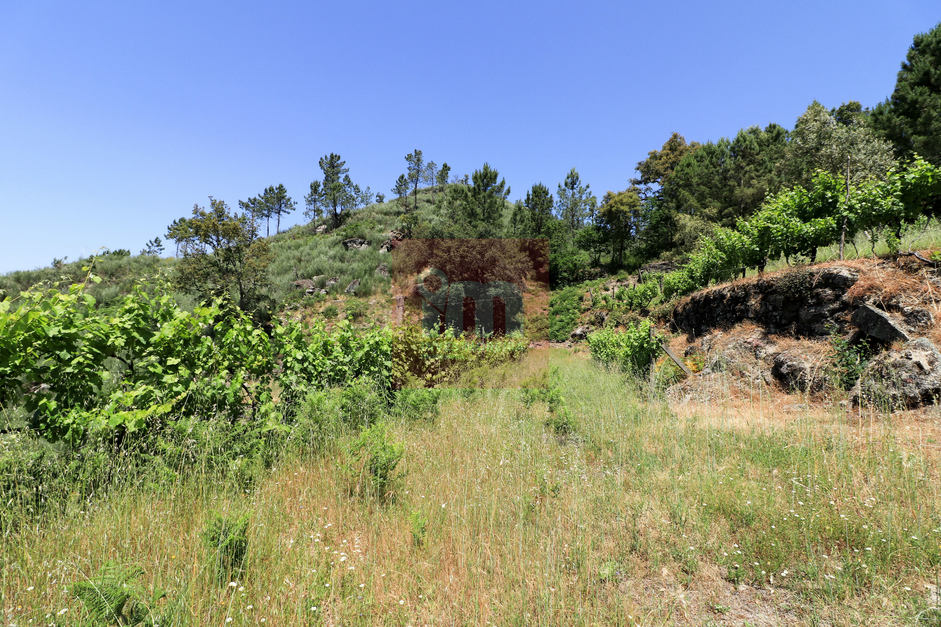 Herdade