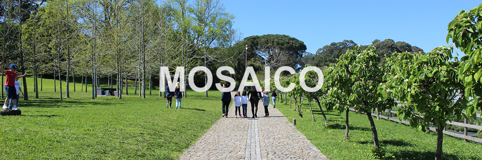 Casa Doppia 4 Vani +2