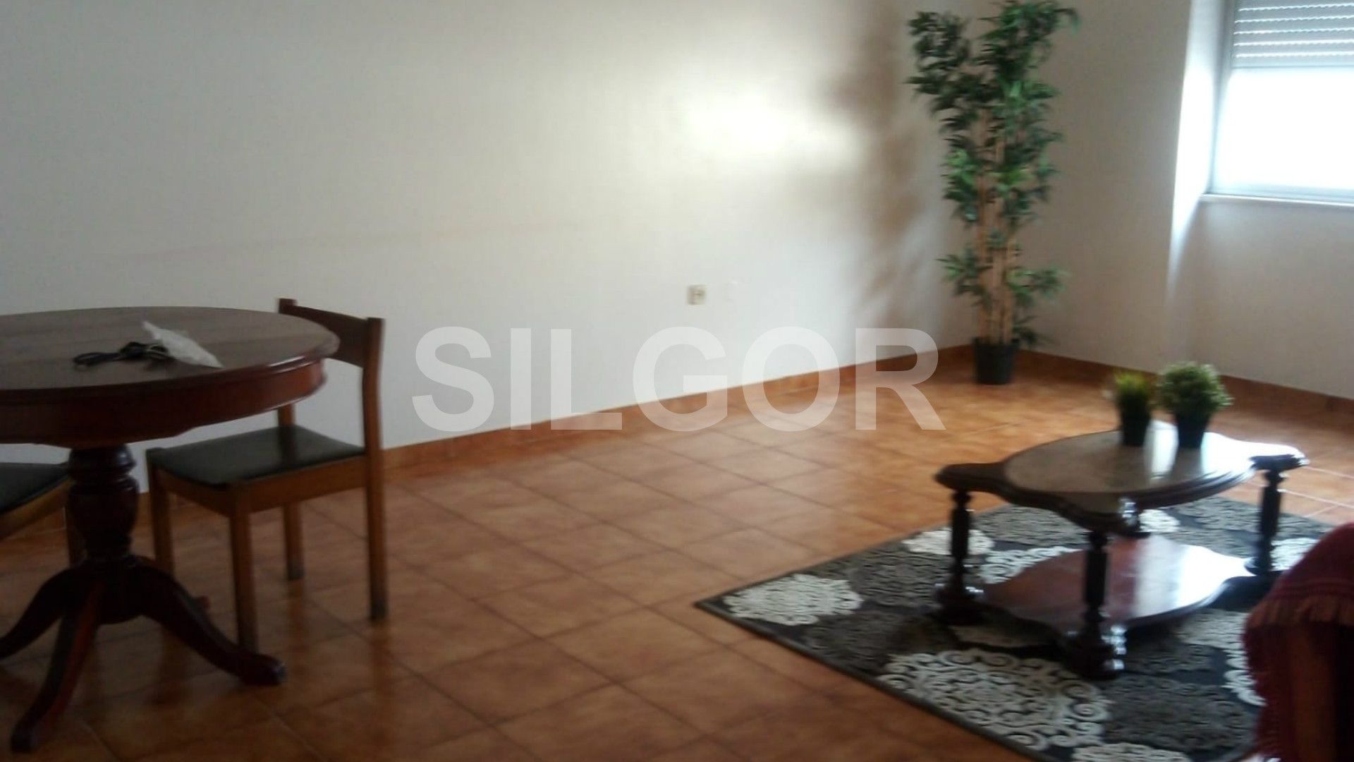 Appartement 1 Chambre(s)