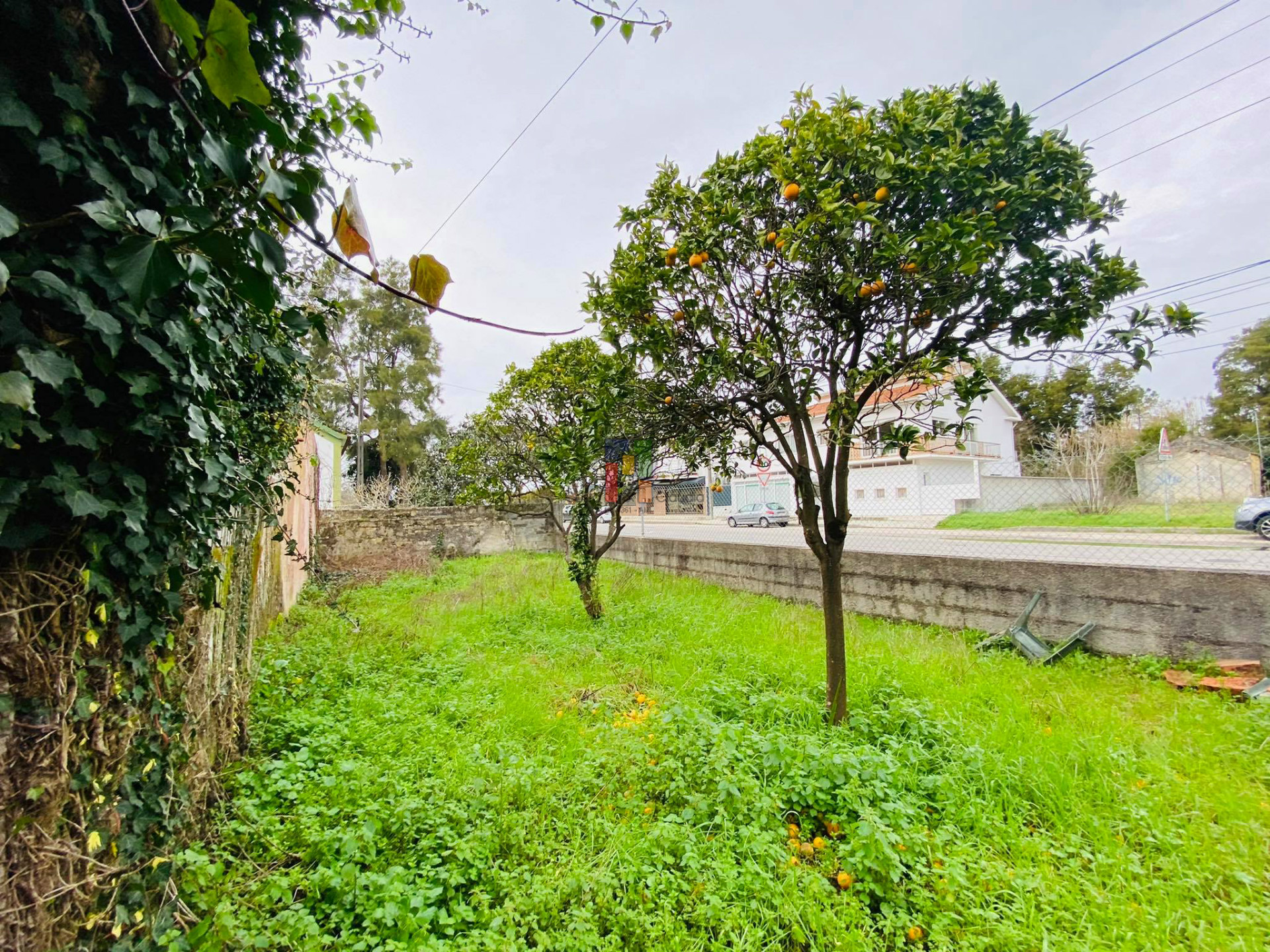 Scrapped Building T3