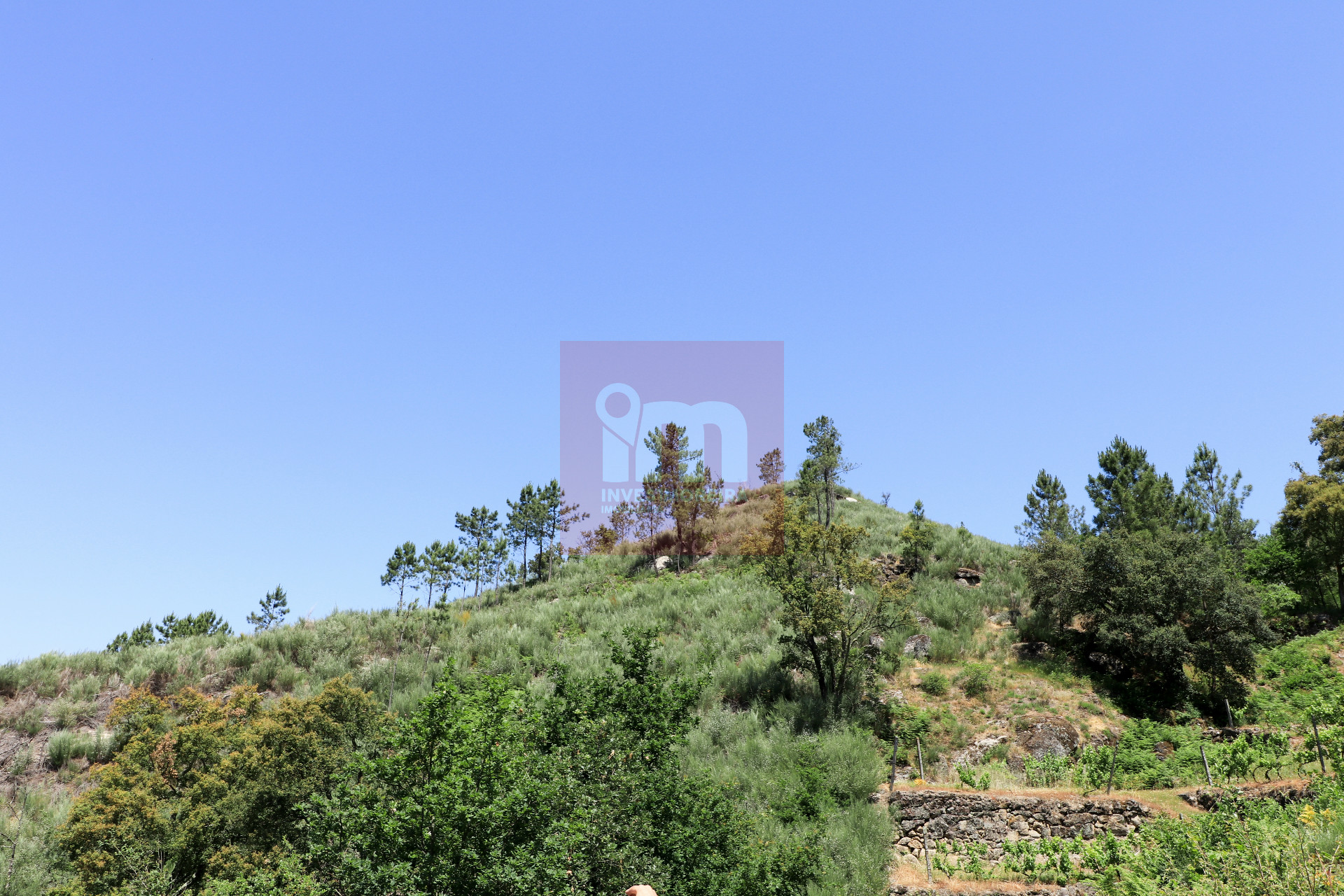 Herdade