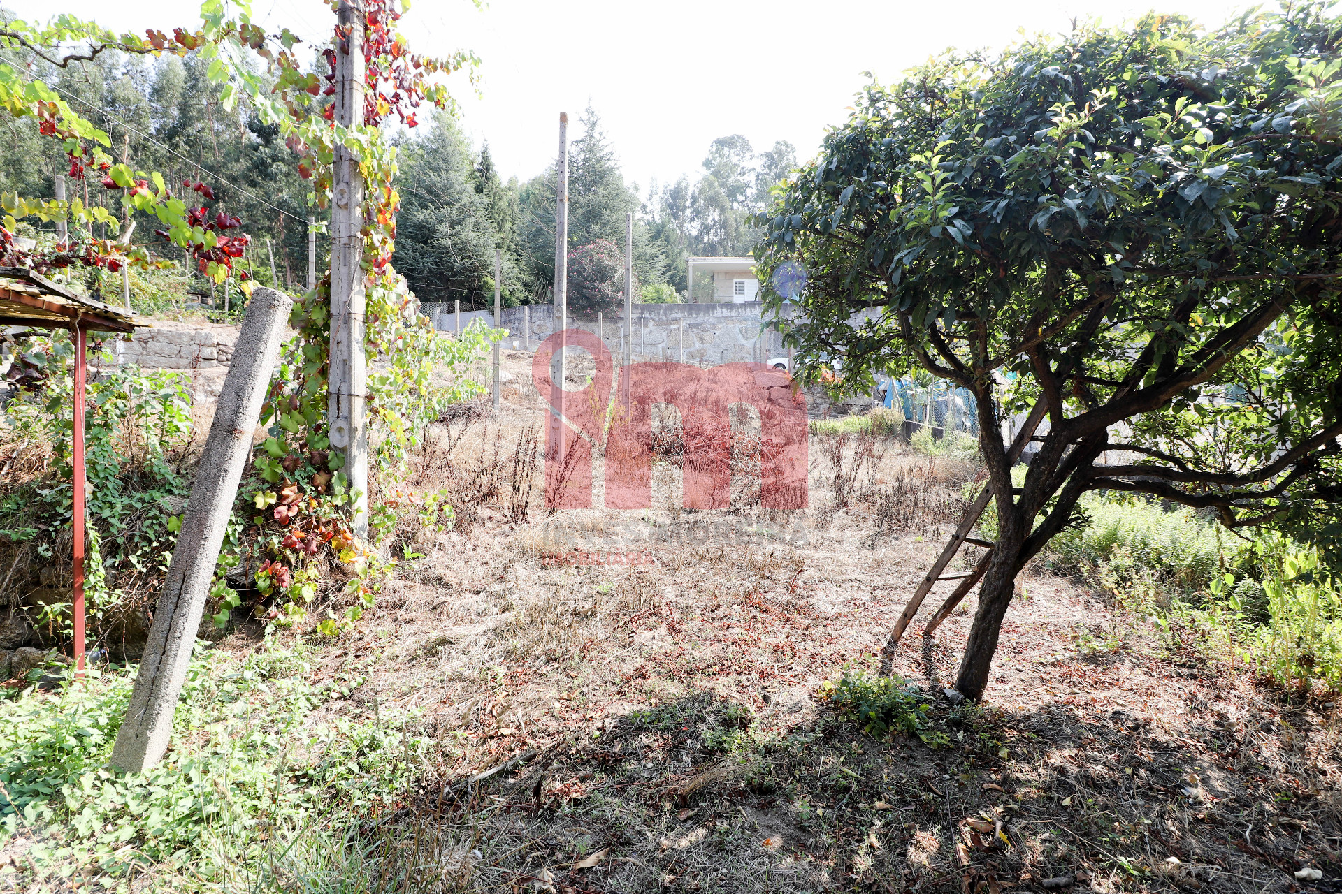 Vivienda 8 habitaciones