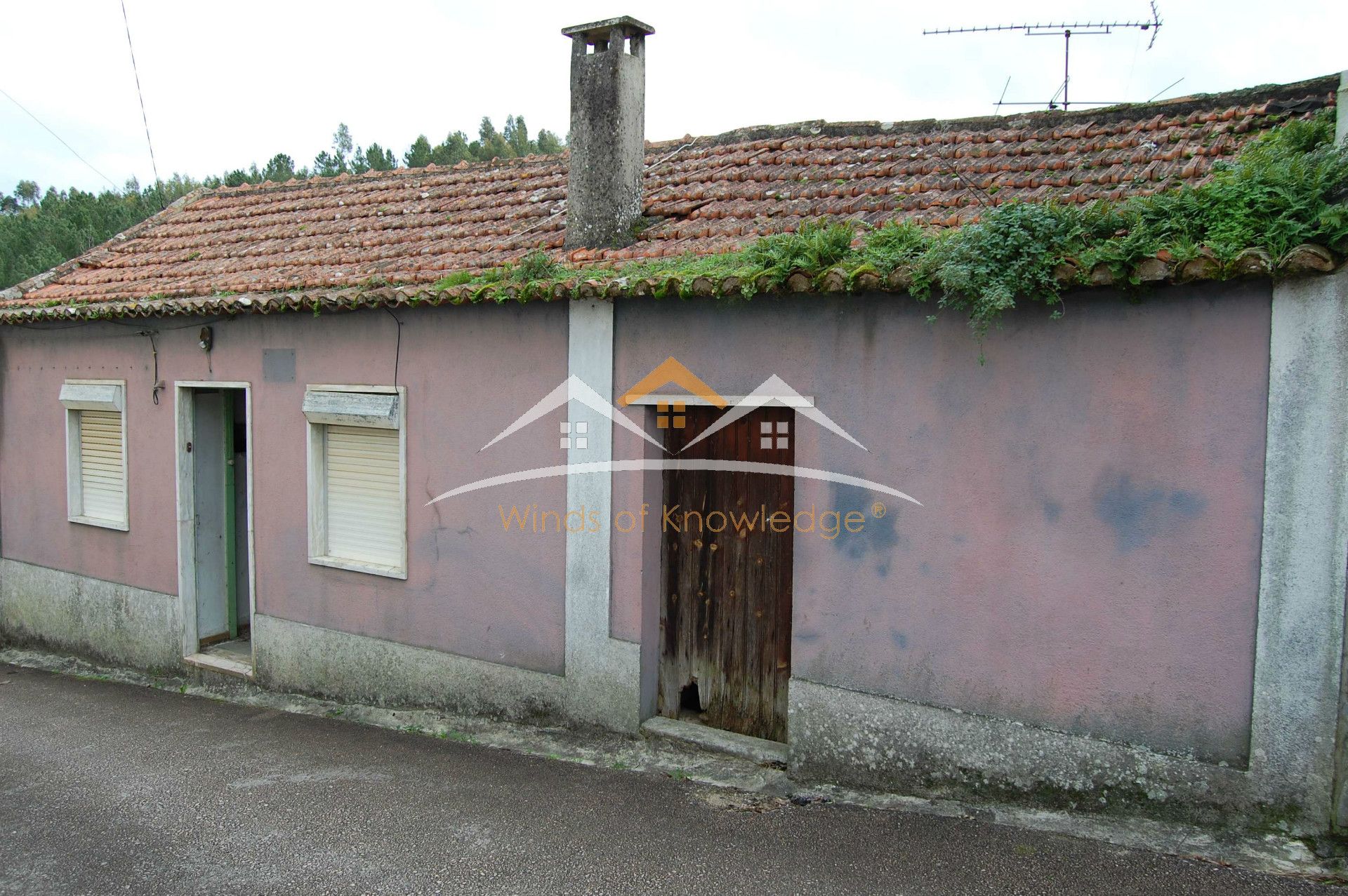 独立屋恢复 3个房间