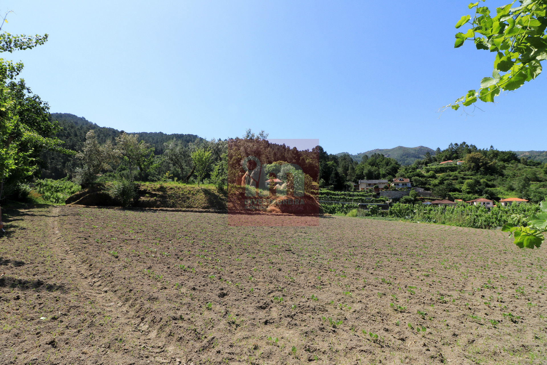 Herdade