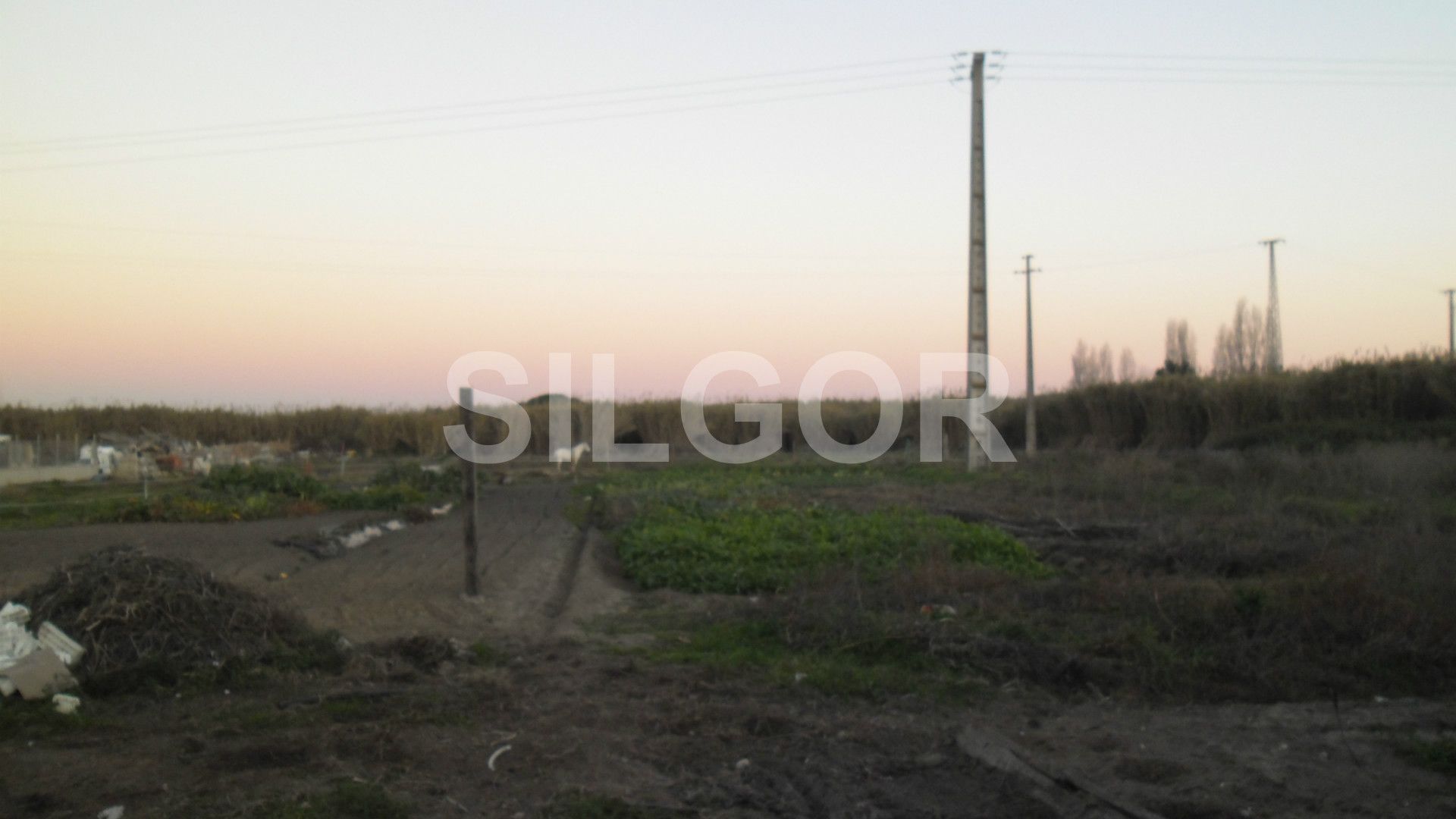 Vivienda 4 habitaciones