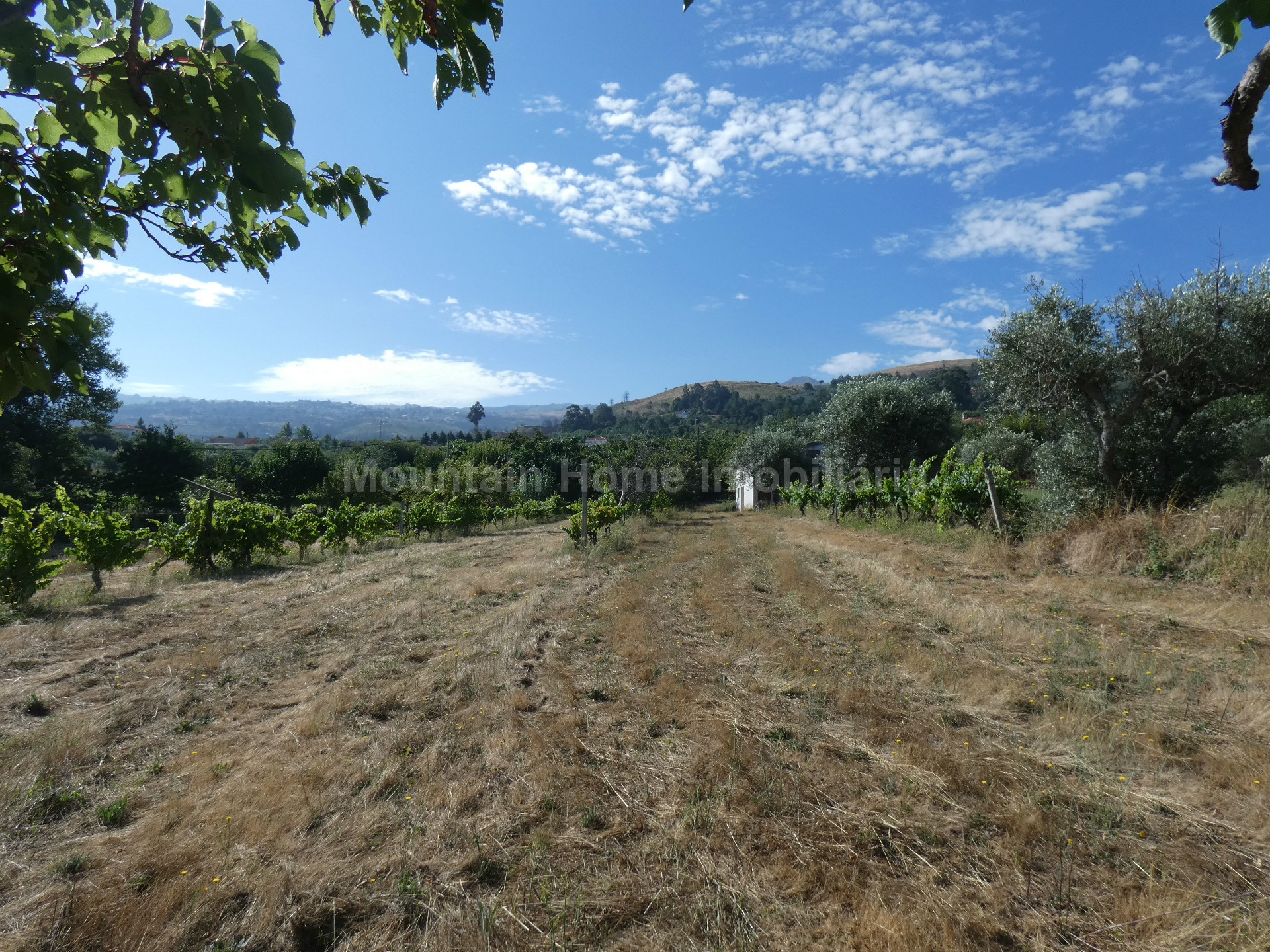 Terreno per Costruzione Monolocale