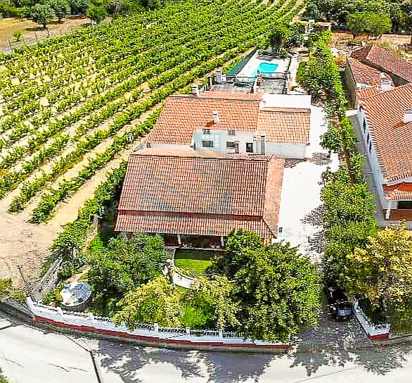 Maison 3 Chambre(s)+1