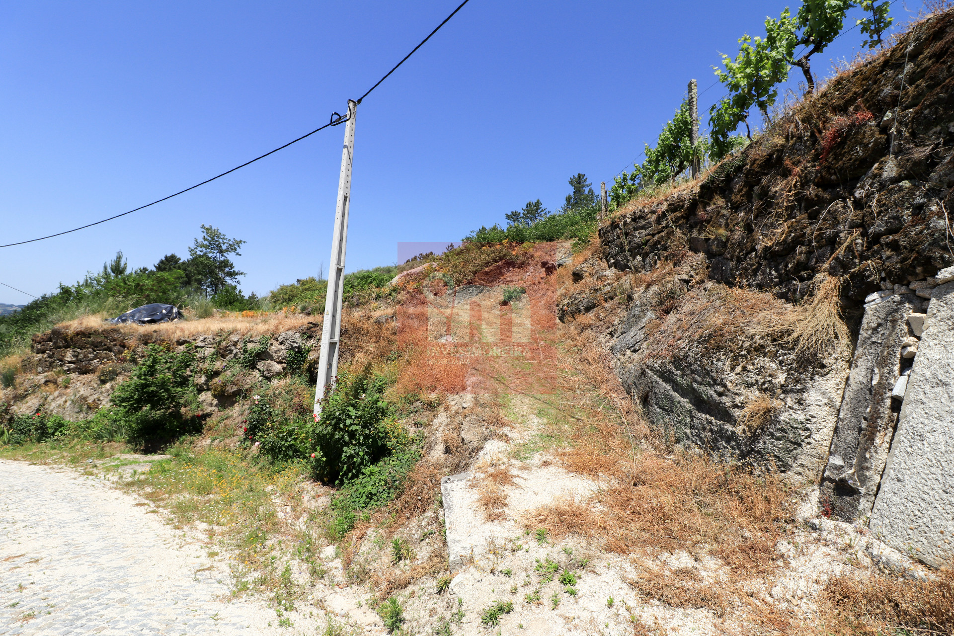 Herdade