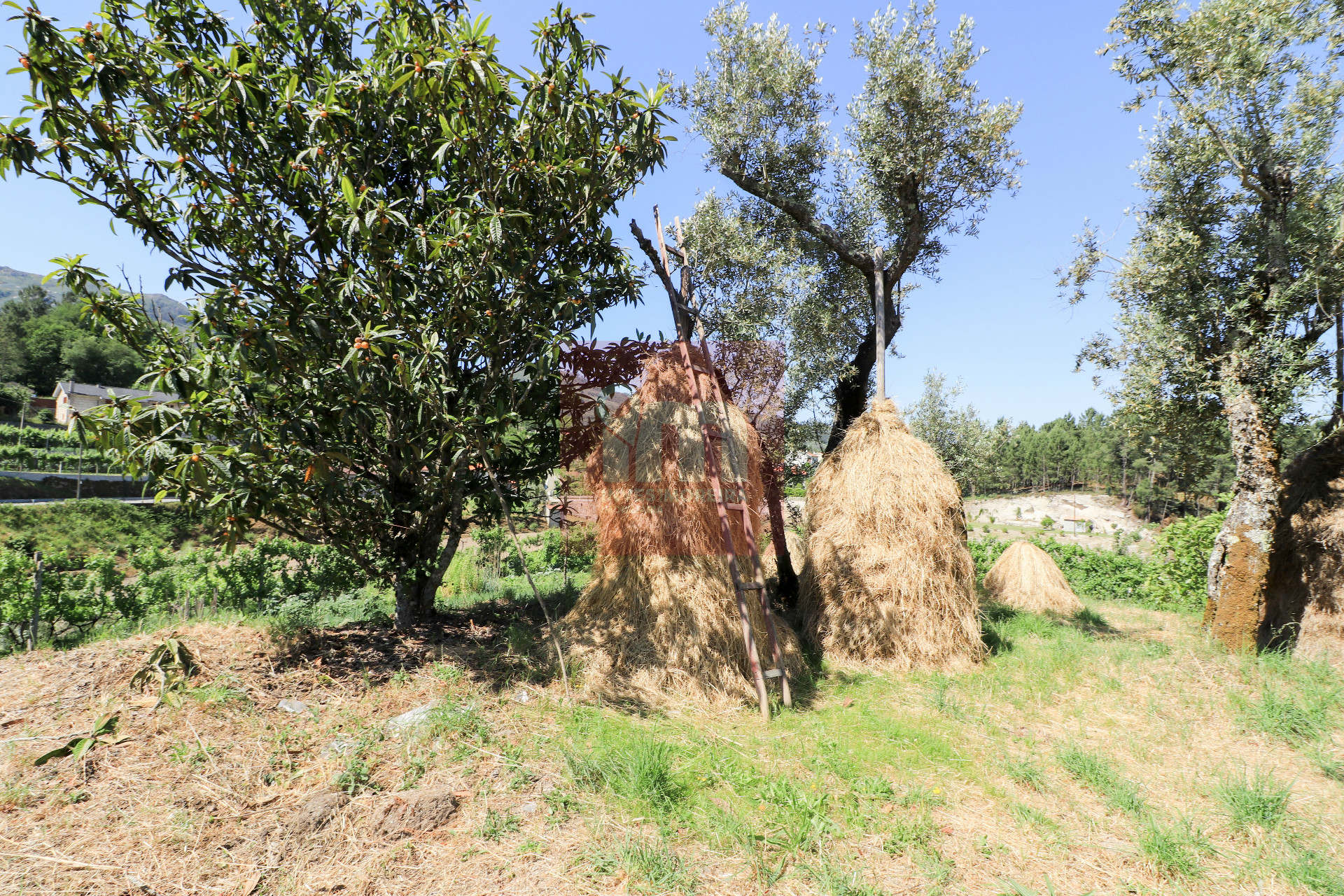 Herdade