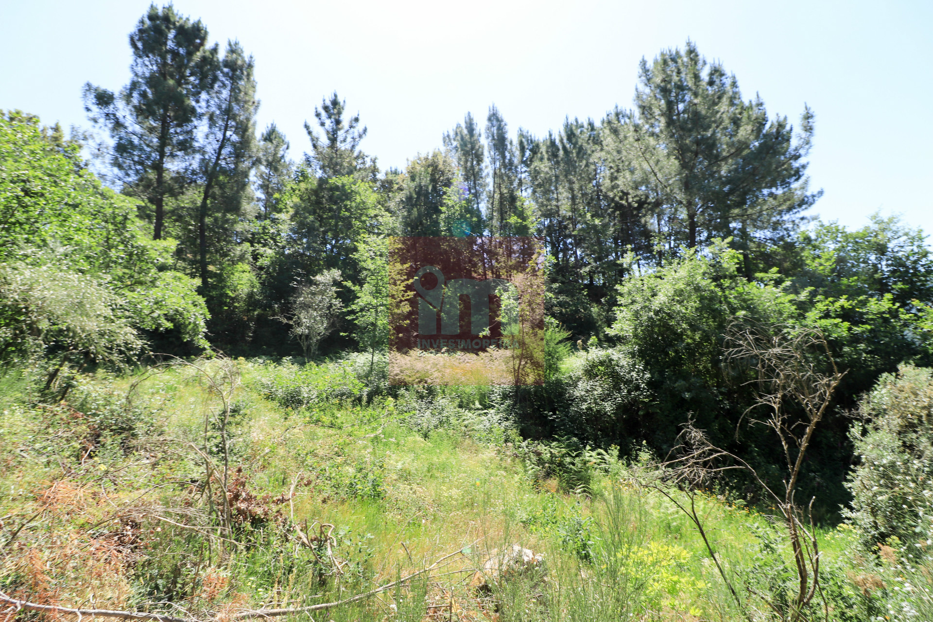 Herdade