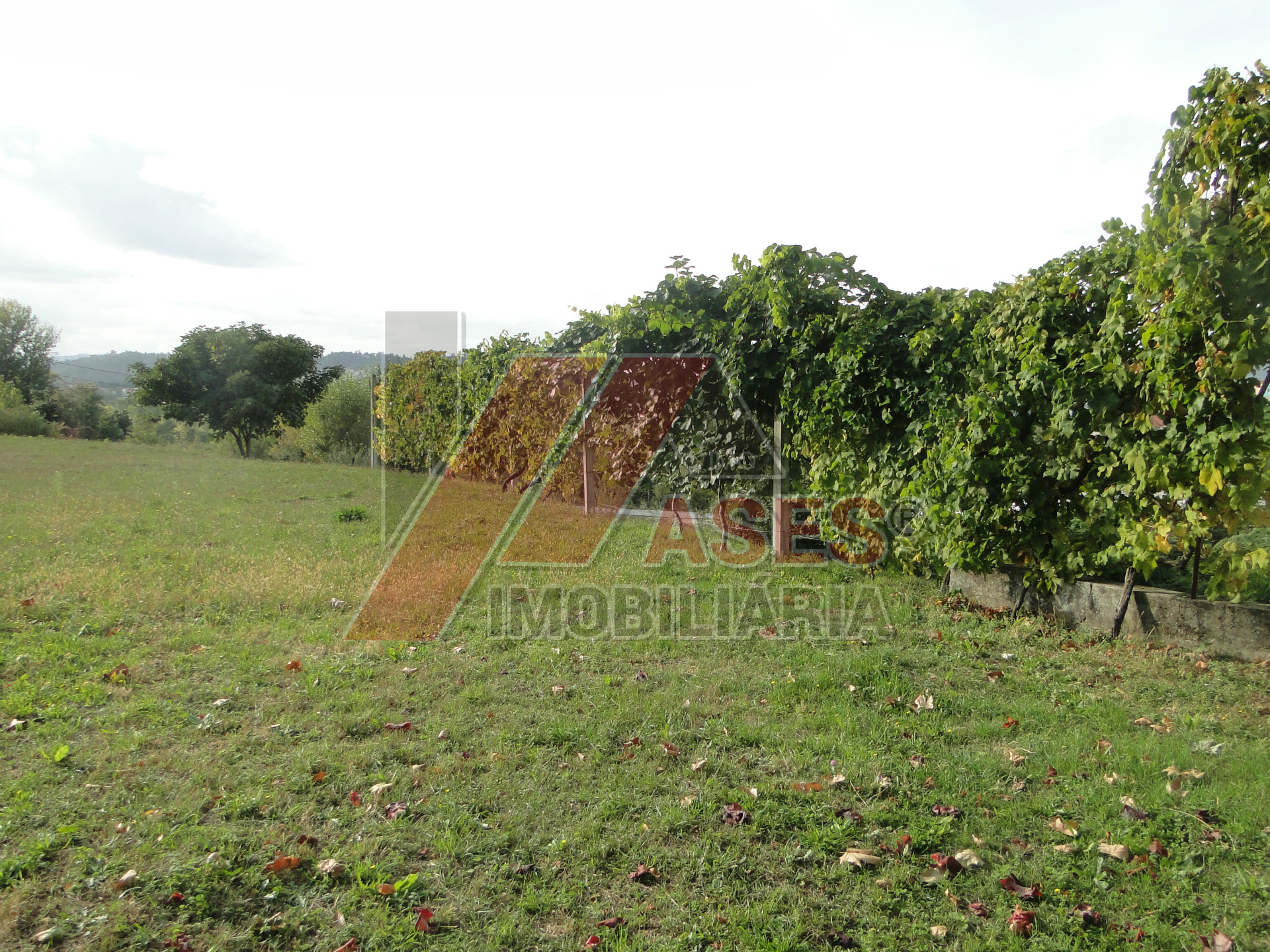 Terreno Para Construção