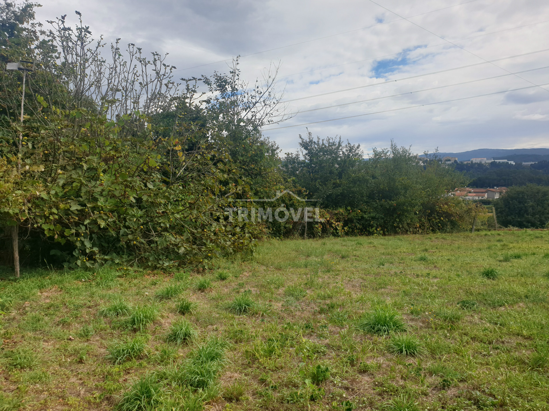 Espacio trasero de la casa