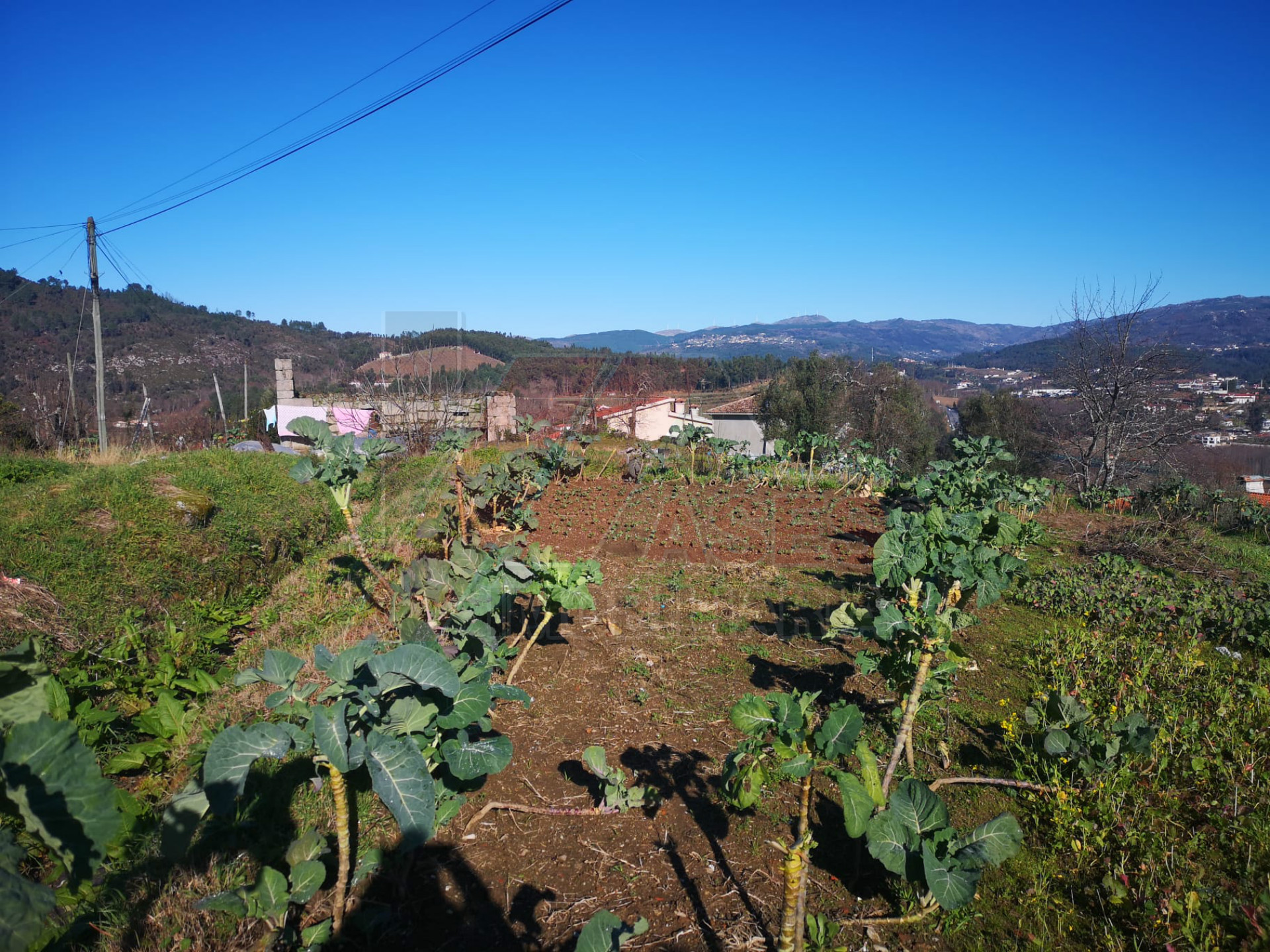 Terreno per Costruzione