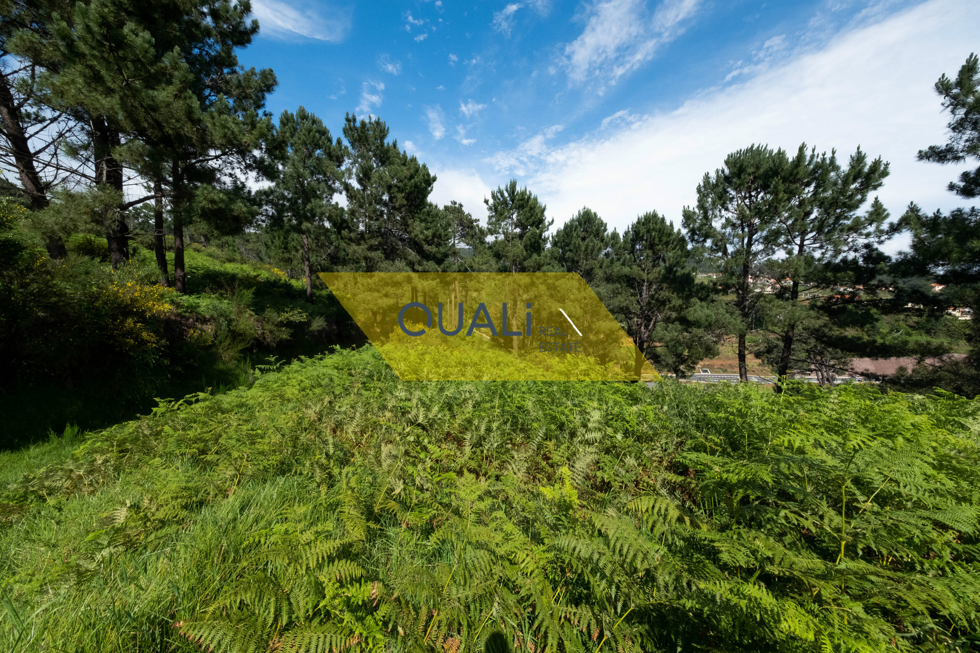 Terreno com 782m2,viabilidade de Construção na Fajã da Ovelha - € 31.500,00