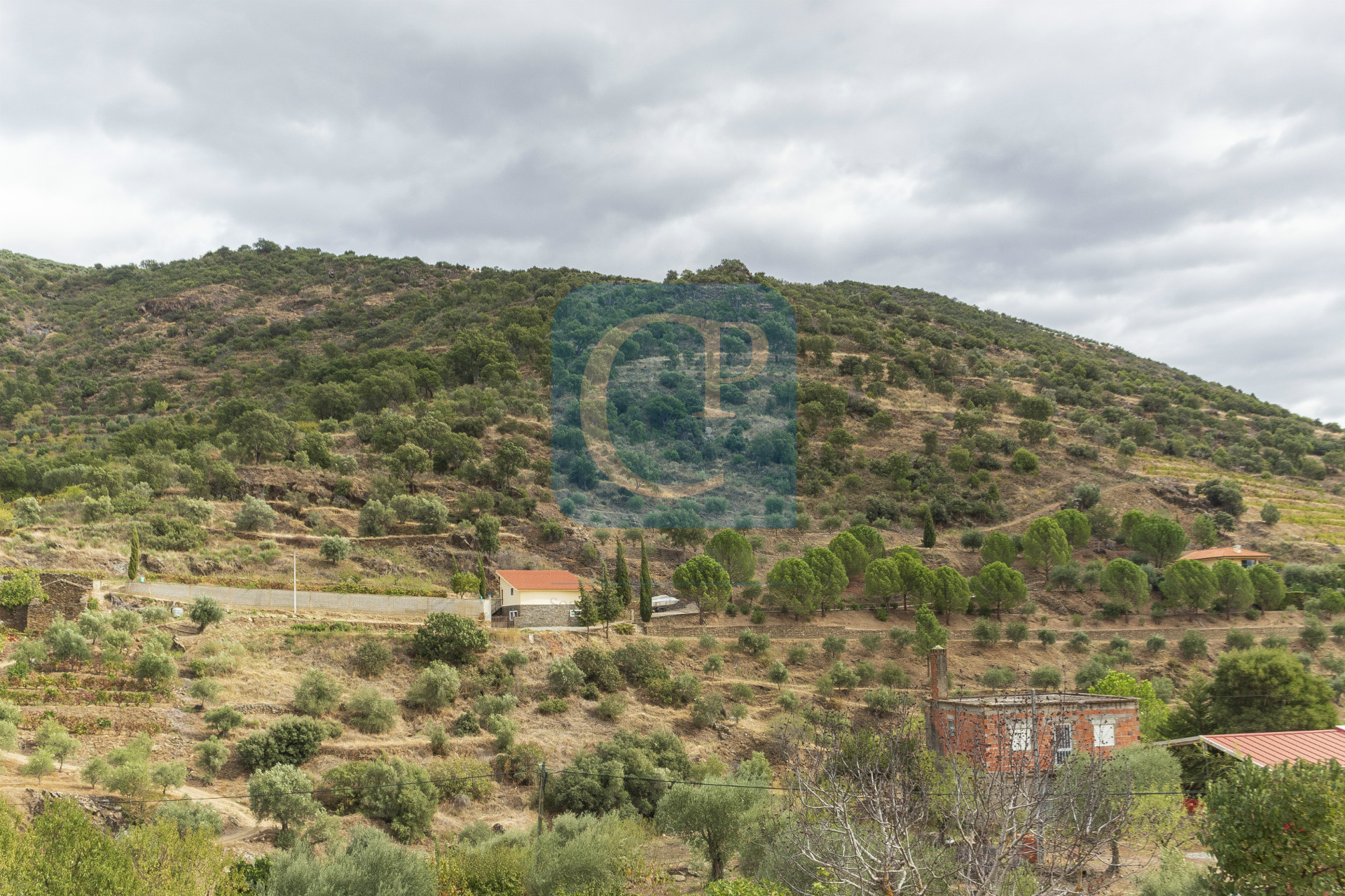 Quinta no Alto Douro Vinhateiro