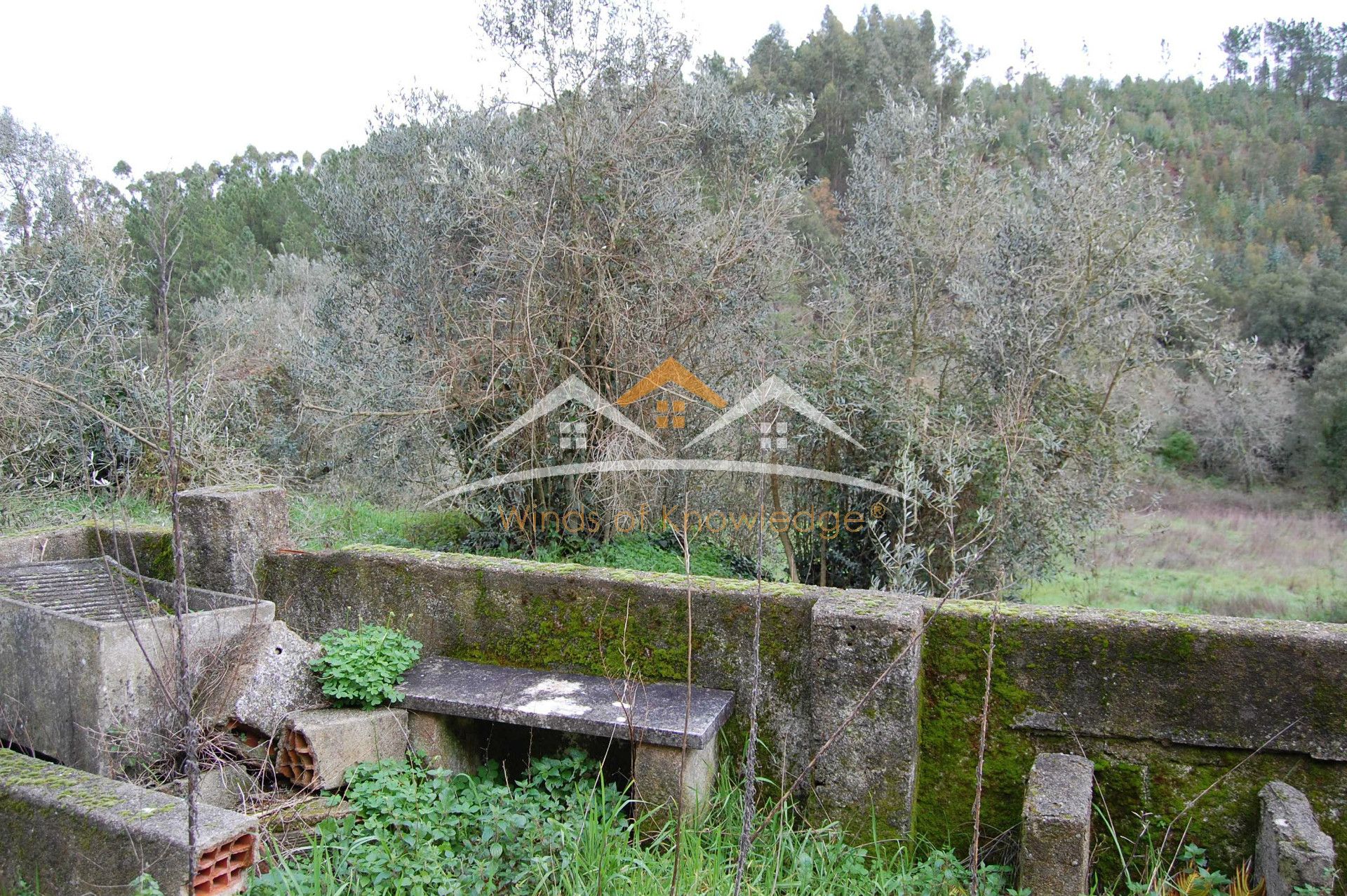 独立屋恢复 3个房间