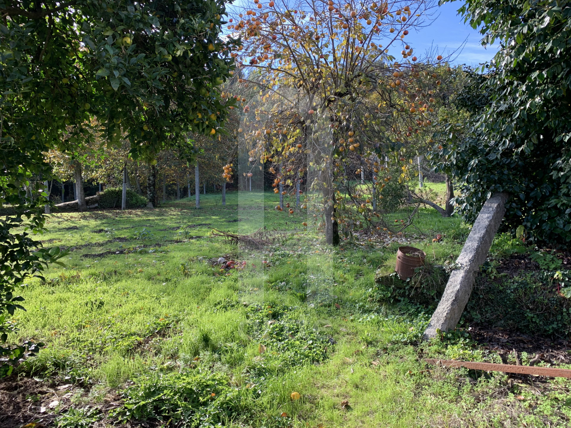 Bauernhaus 7 Schlafzimmer