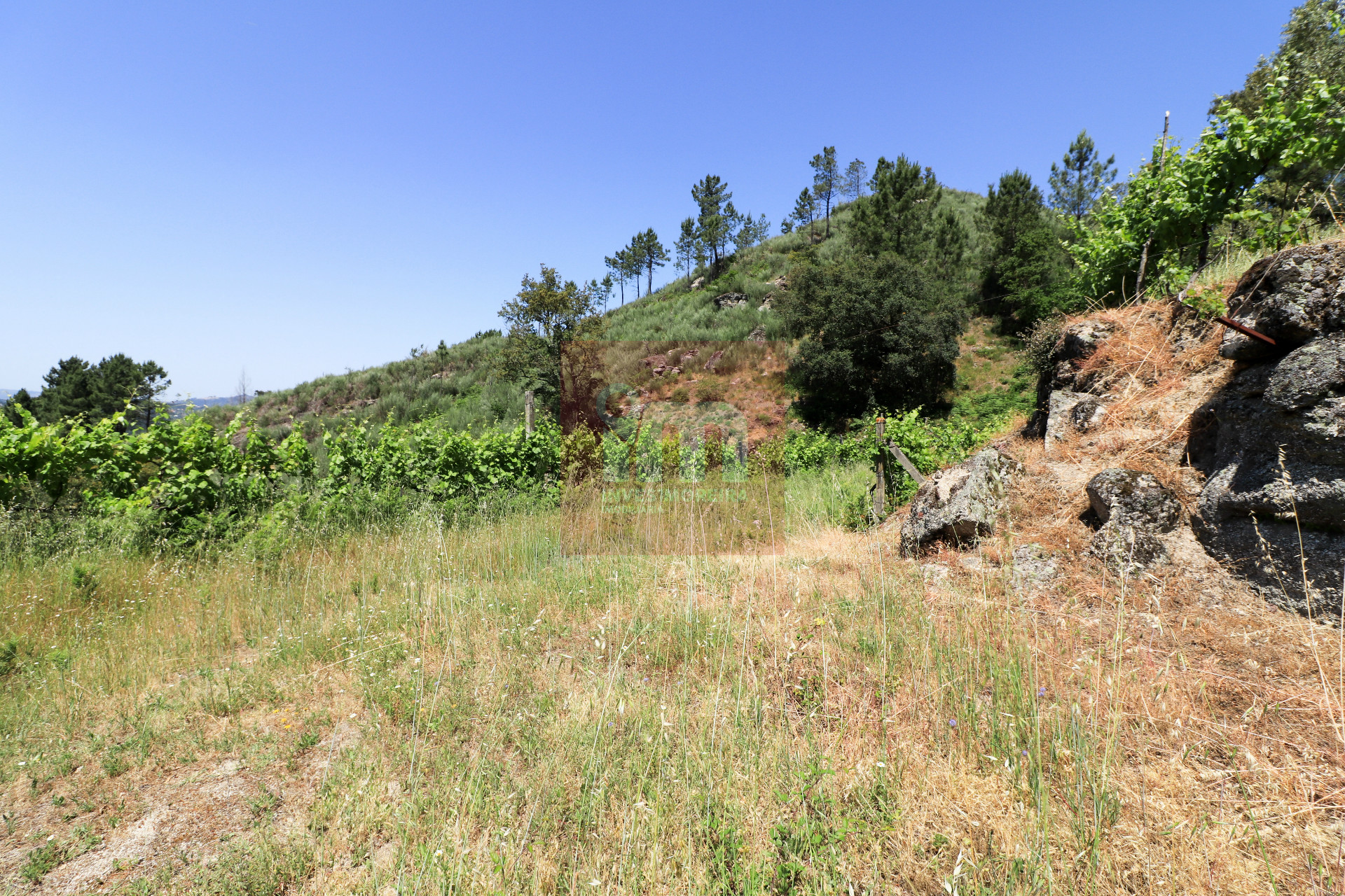 Herdade