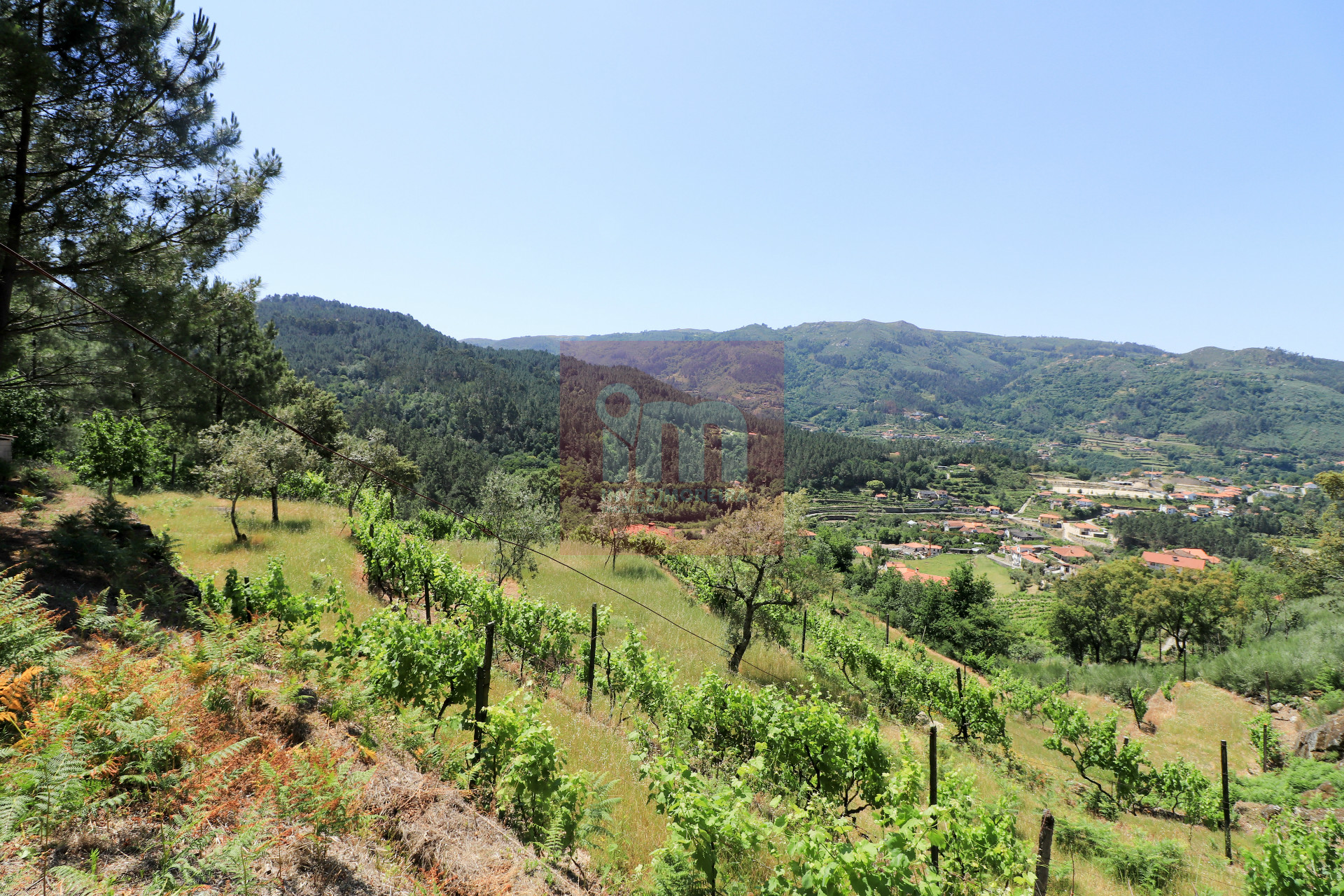 Herdade