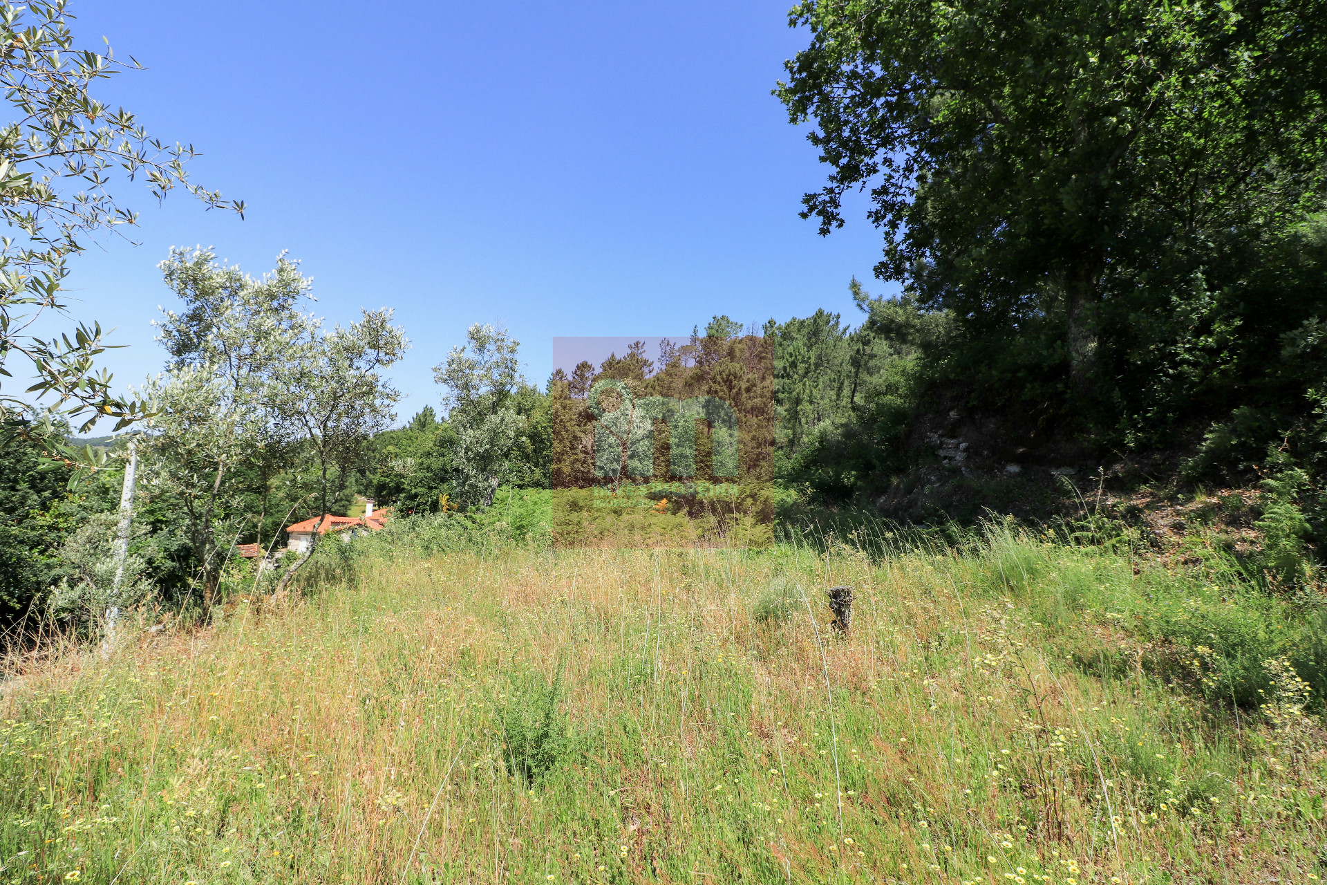 Herdade