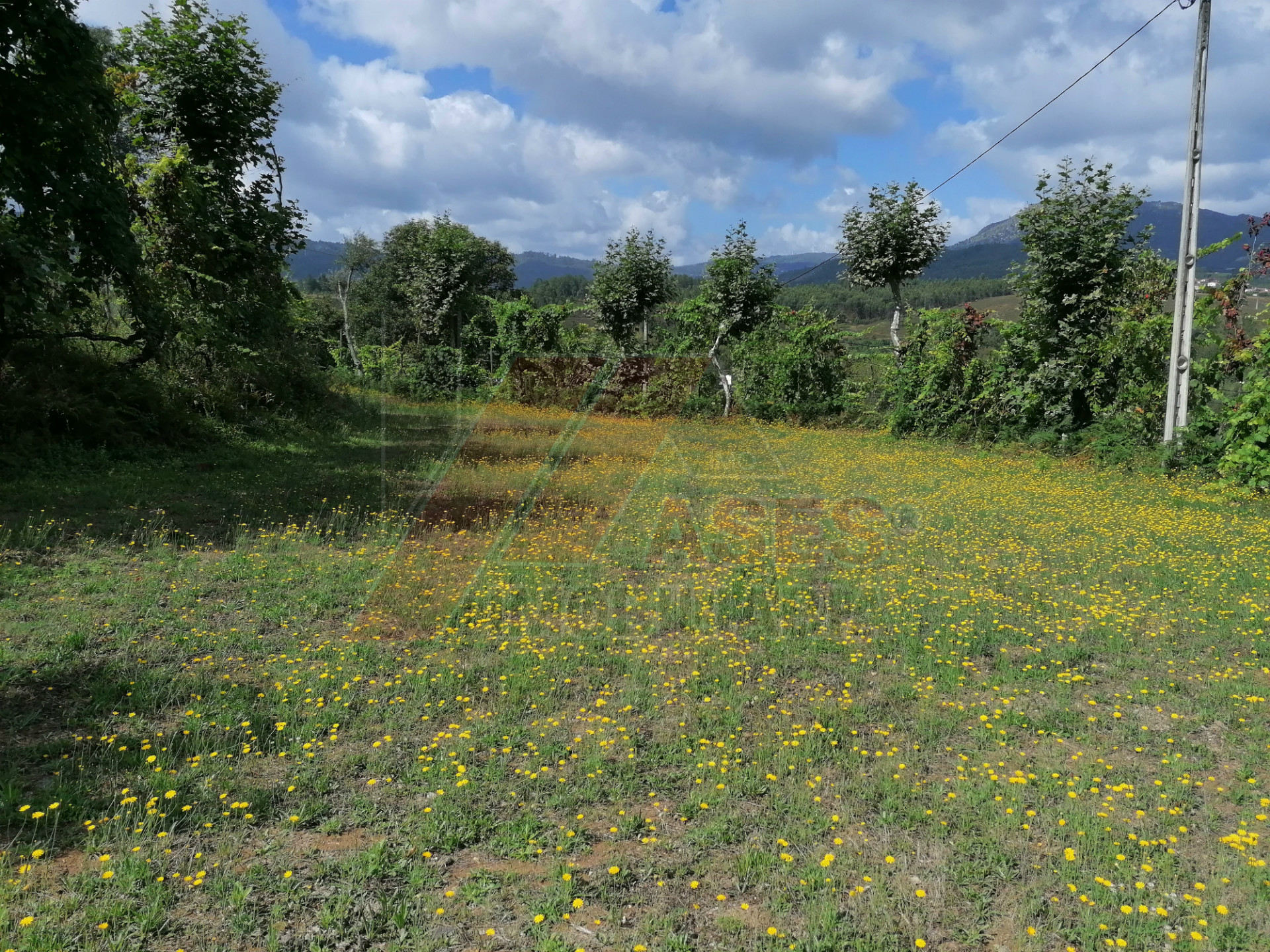 Terreno Para Construcción