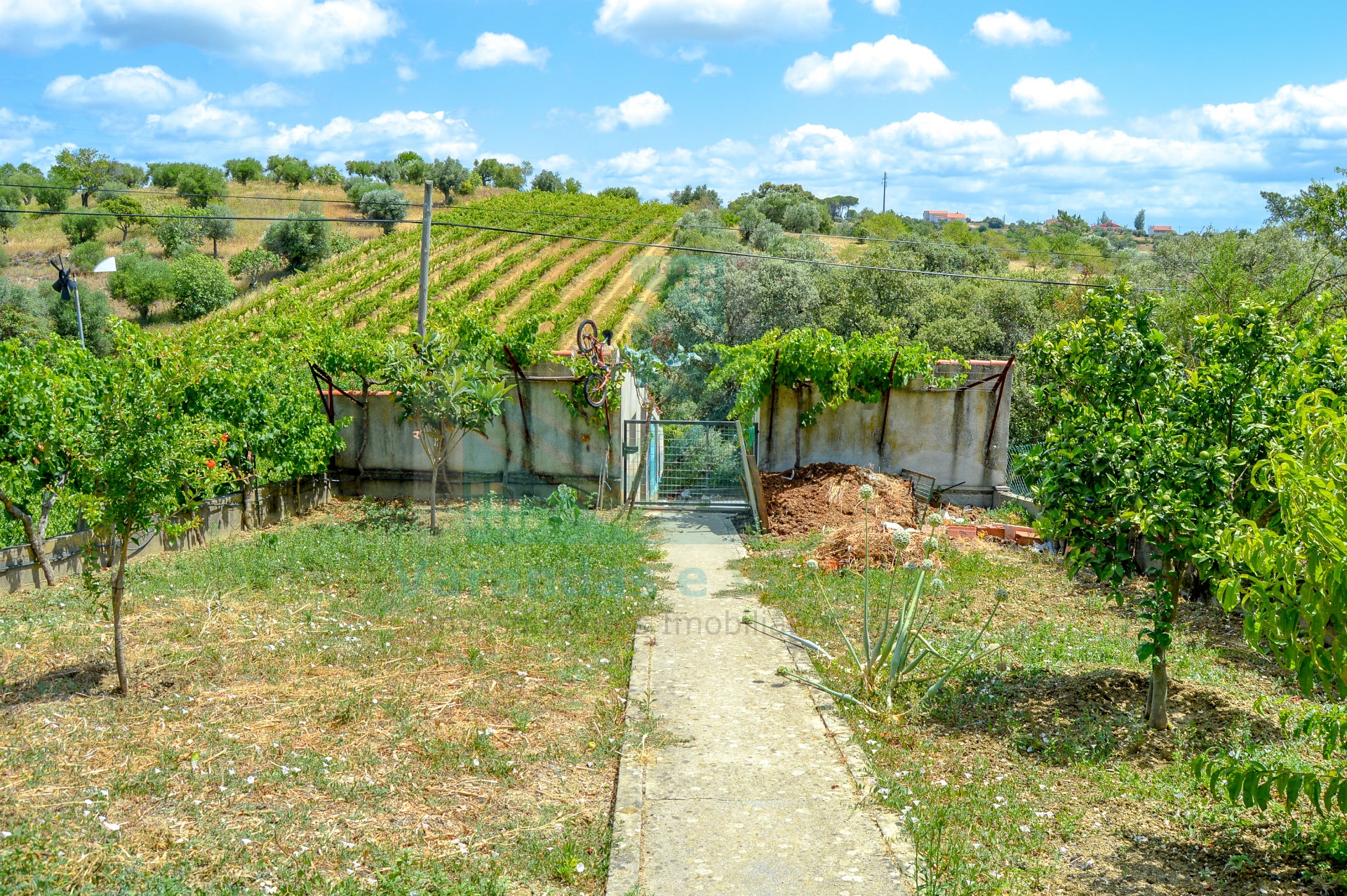 Maison 3 Chambre(s)+1