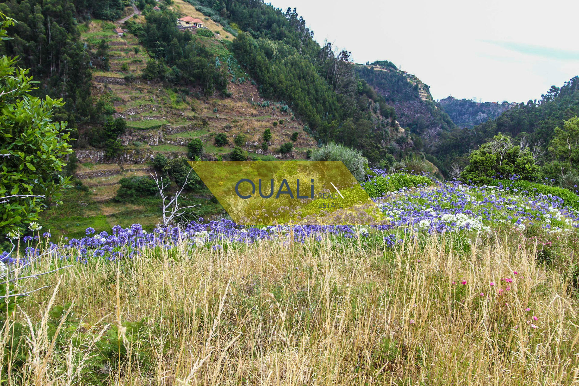 Terreno 980 m2 com casa em ruinas em Conselho de Santa Cruz €50.000,00