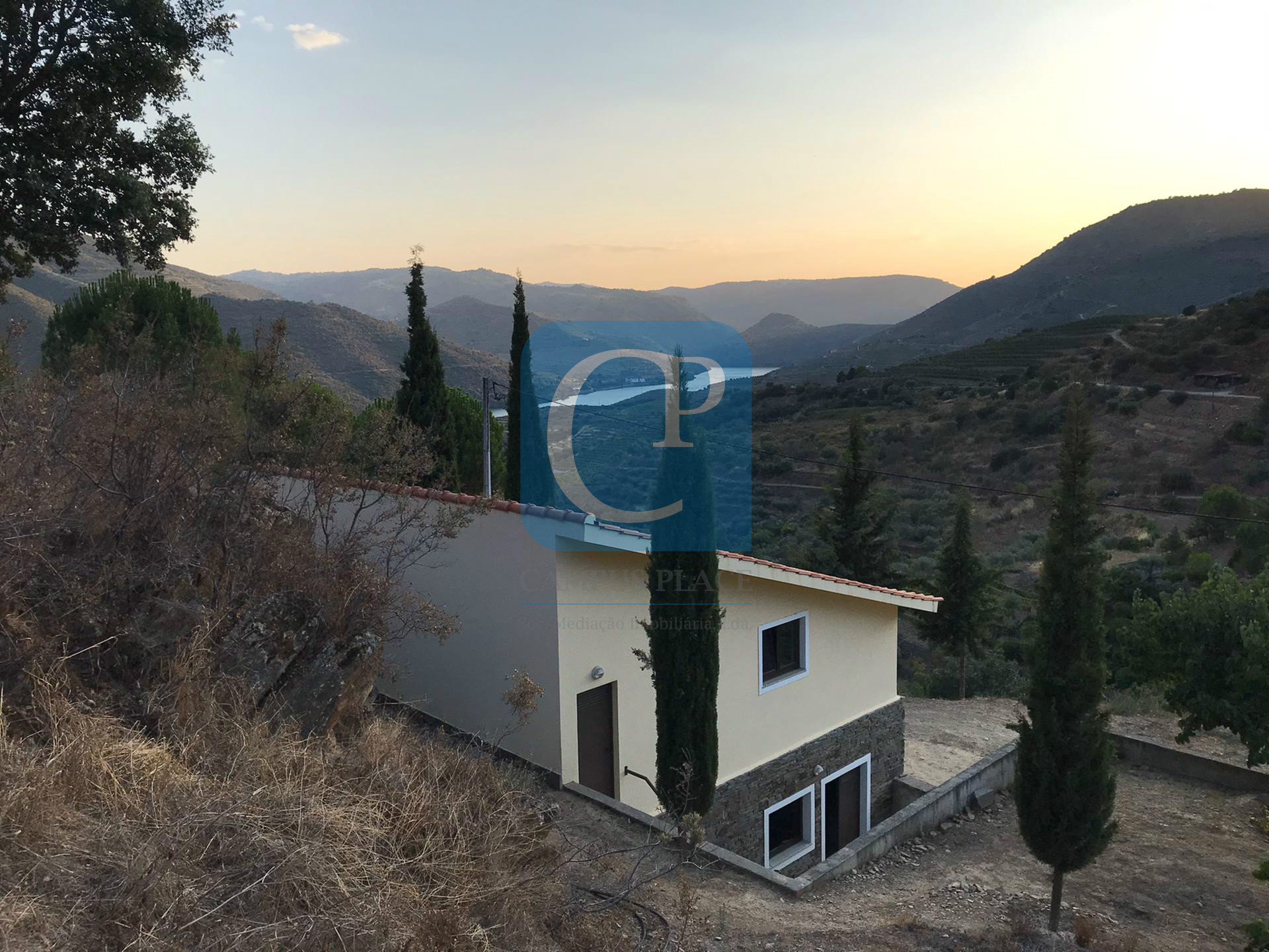 Quinta no Alto Douro Vinhateiro