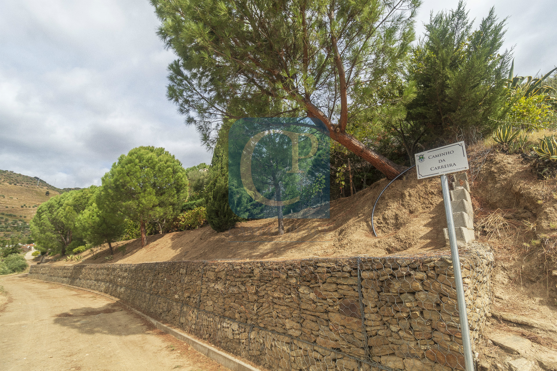 Quinta no Alto Douro Vinhateiro