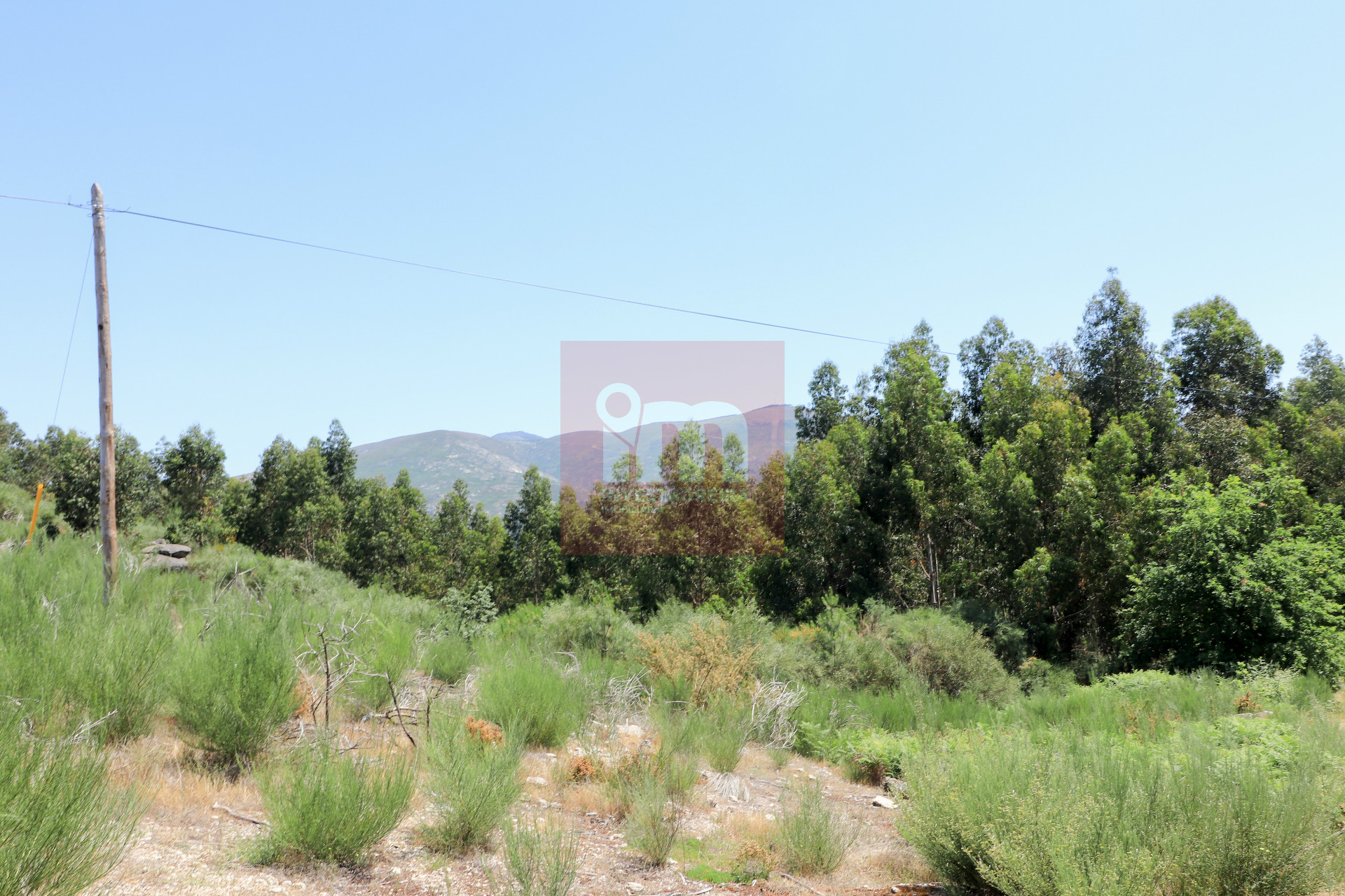 Herdade