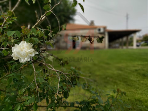 Petite ferme 3 Chambre(s)