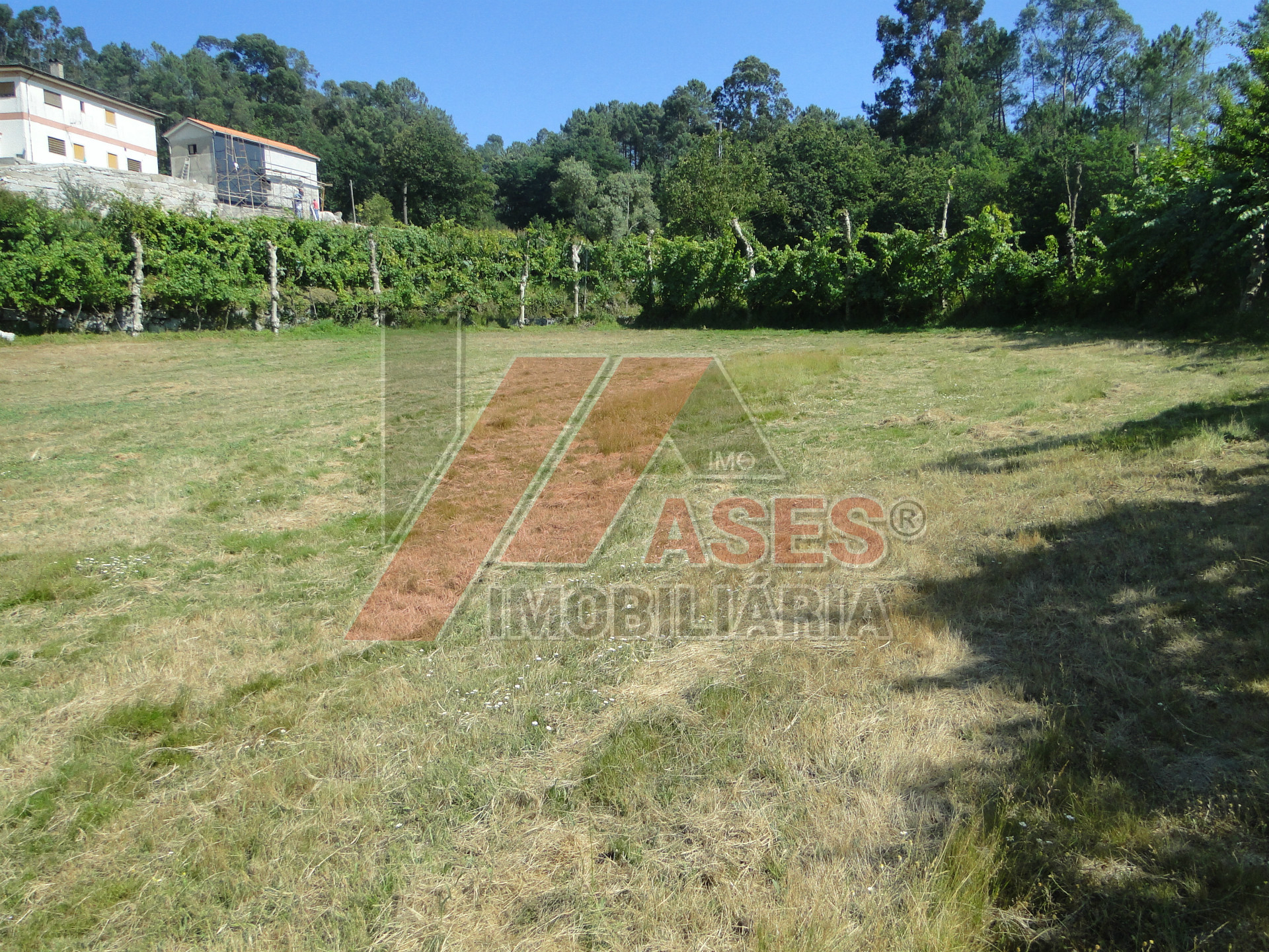 Boerderij 3 kamerwoning